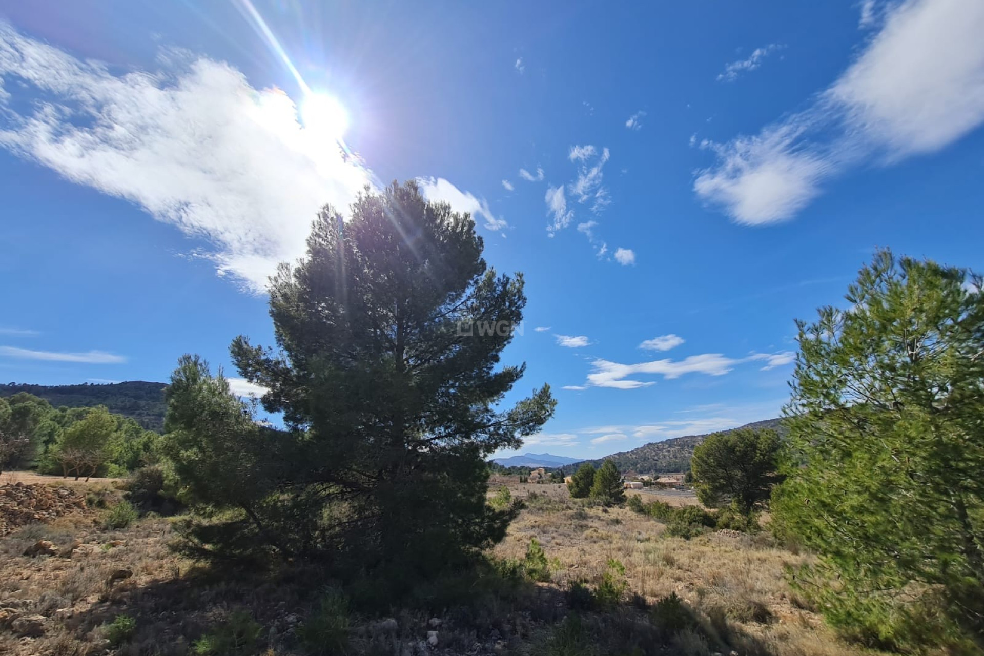 Reventa - Parcela / Terreno - Pinoso - Inland