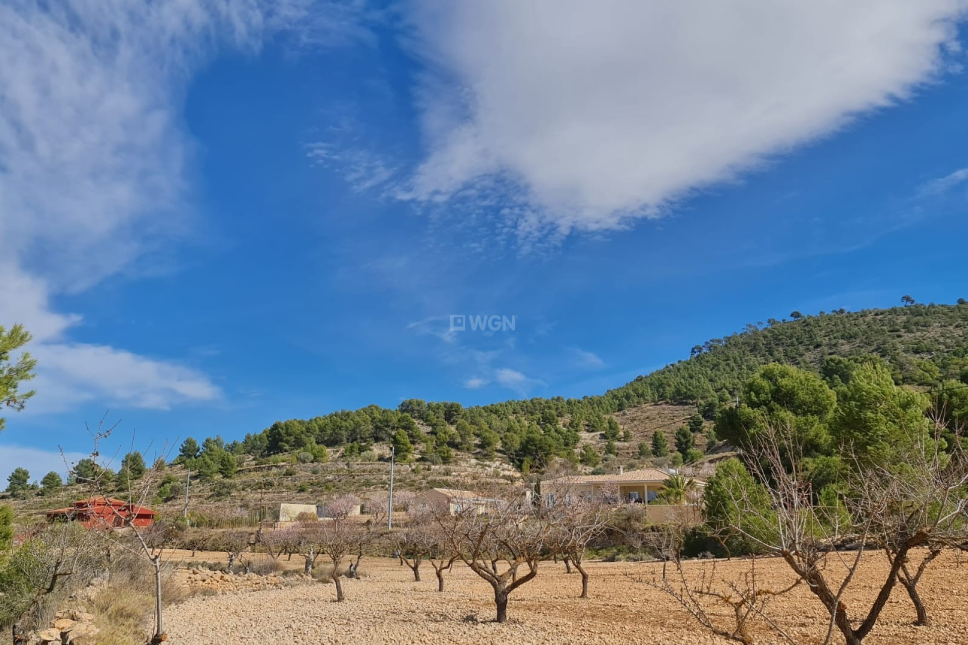 Reventa - Parcela / Terreno - Pinoso - Inland