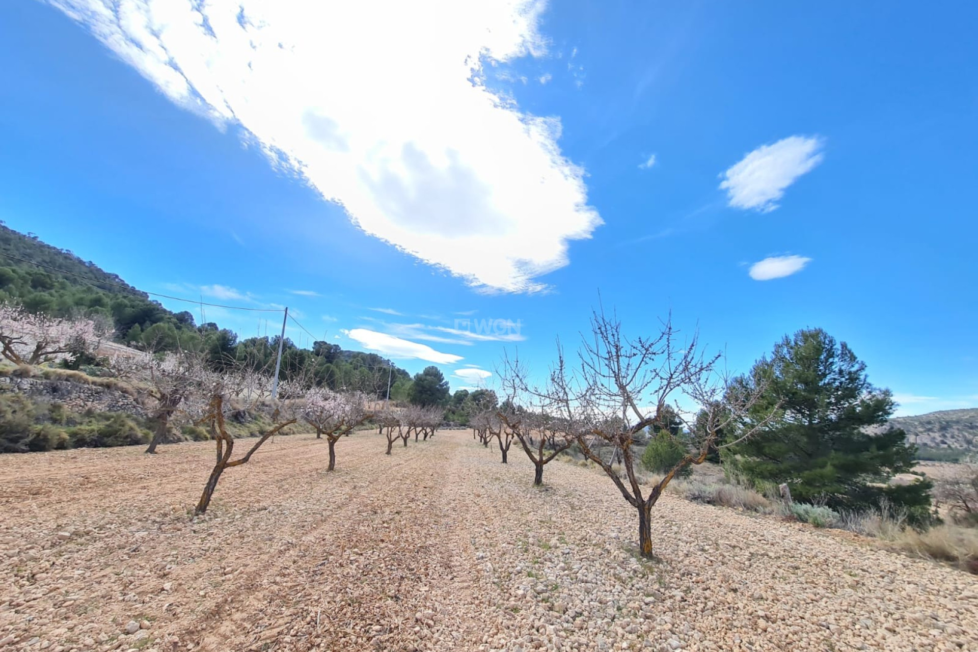 Reventa - Parcela / Terreno - Pinoso - Inland