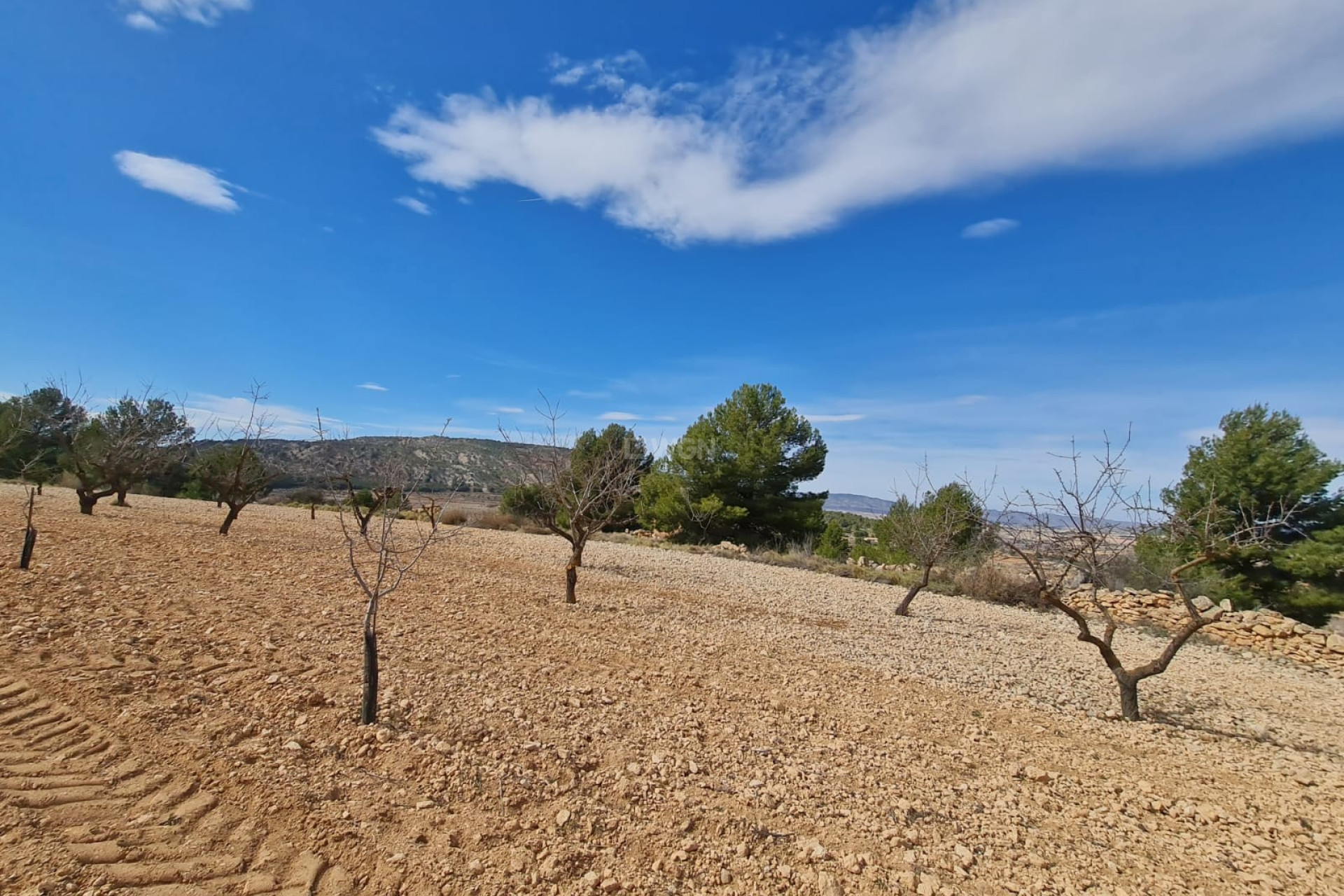 Reventa - Parcela / Terreno - Pinoso - Inland