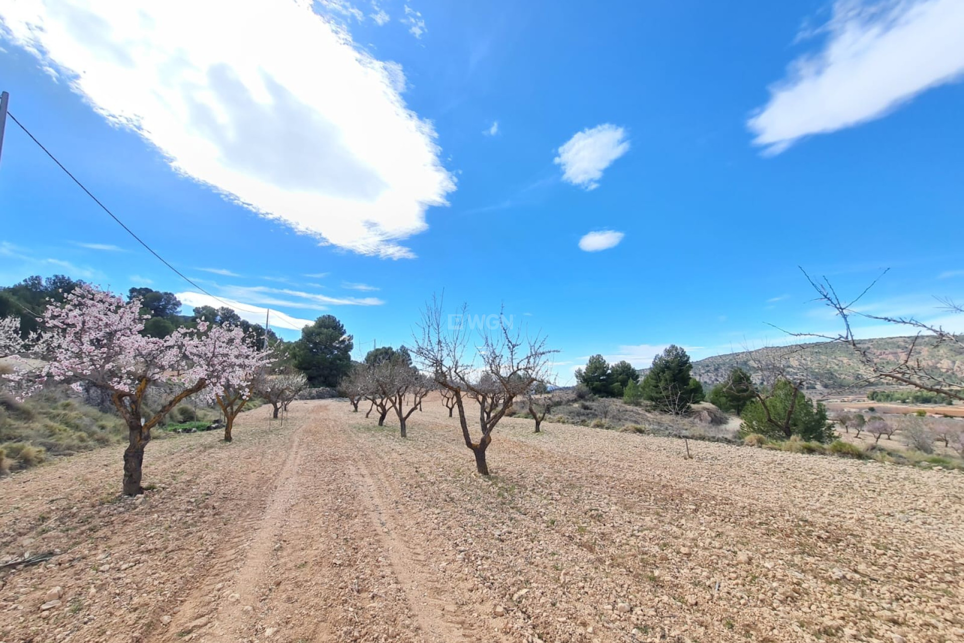 Reventa - Parcela / Terreno - Pinoso - Inland