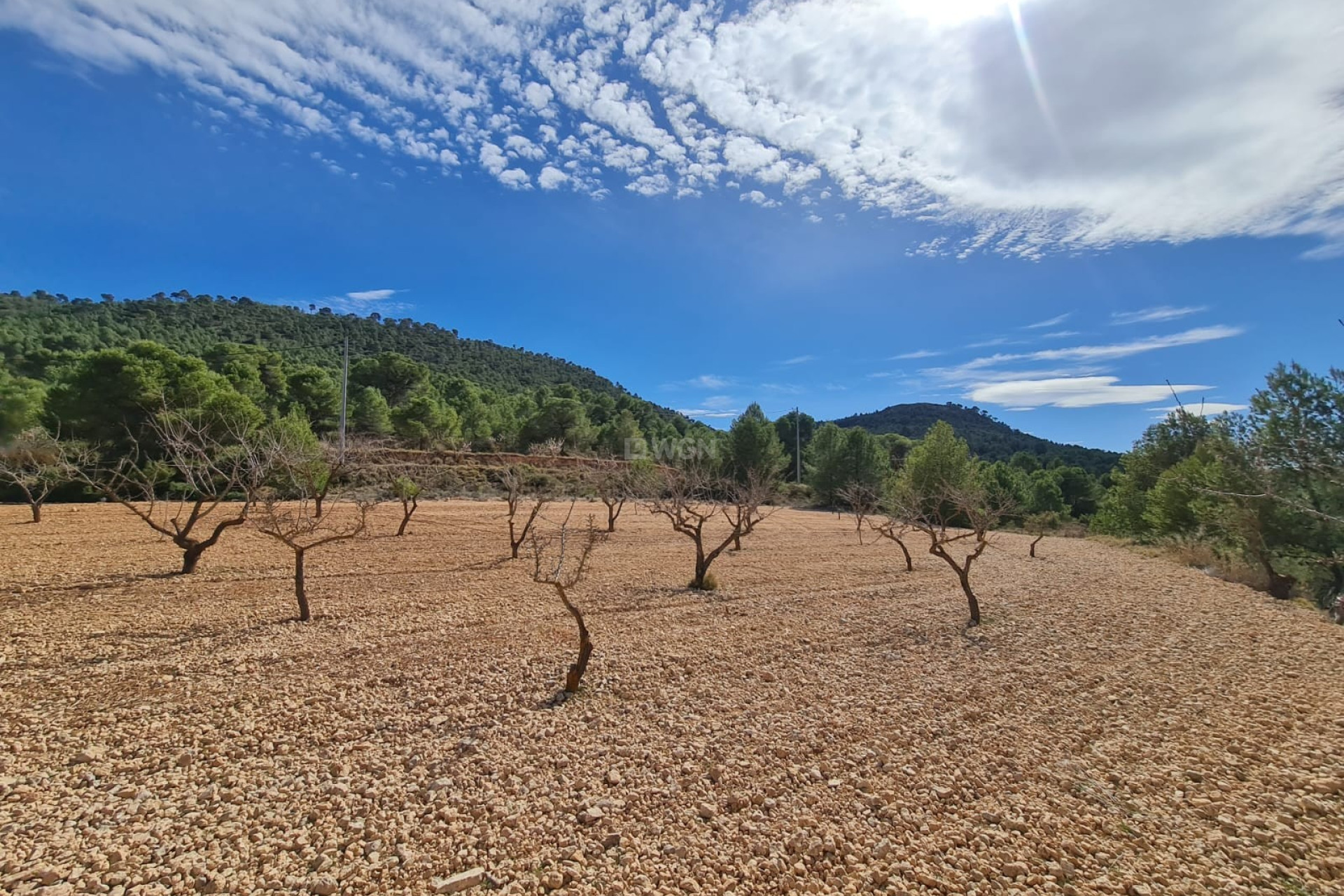 Reventa - Parcela / Terreno - Pinoso - Inland