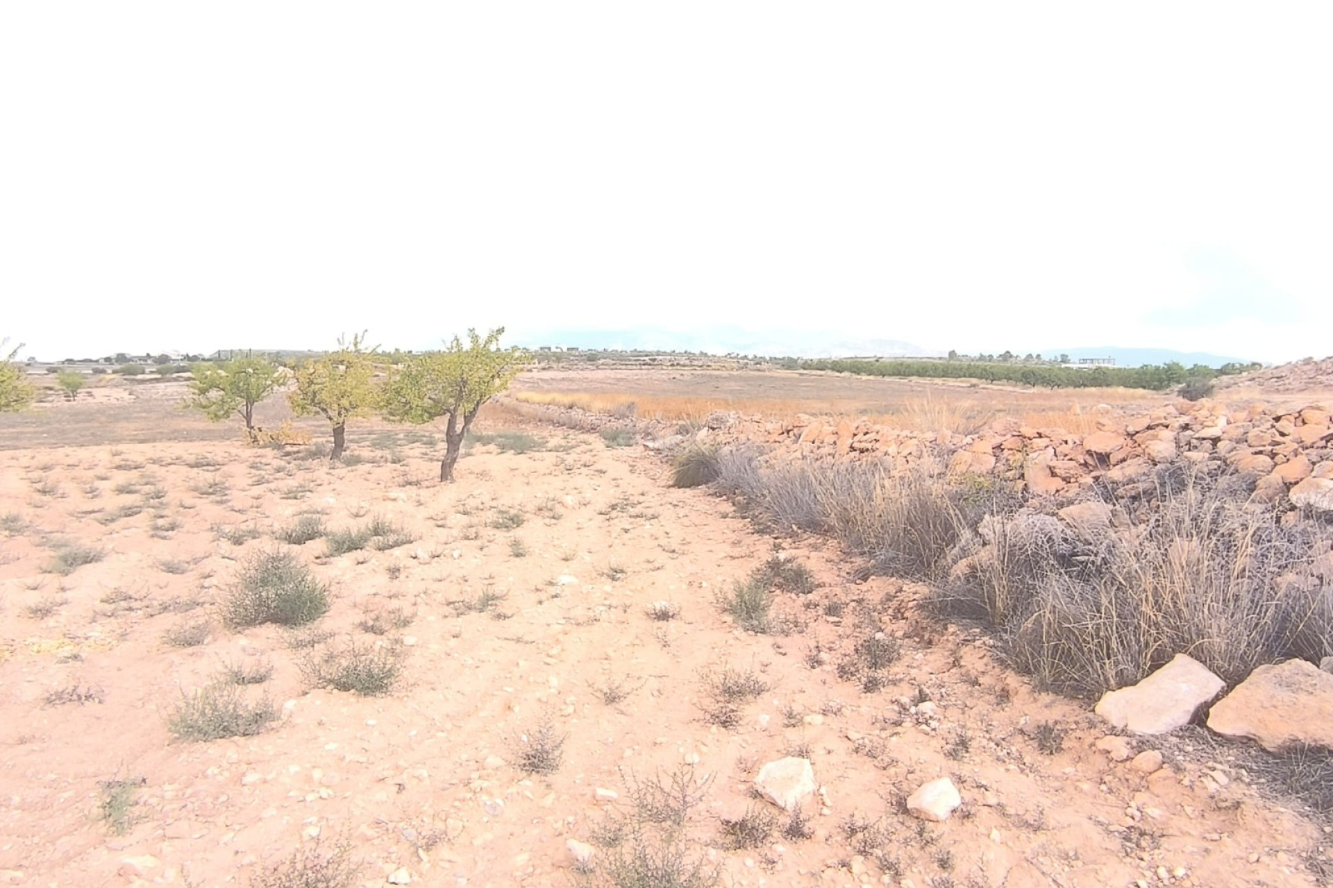 Reventa - Parcela / Terreno - Pinoso - Inland