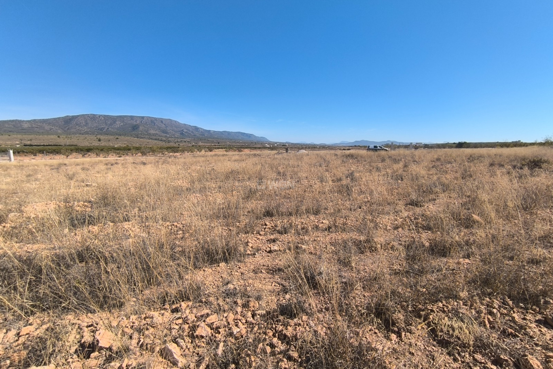 Reventa - Parcela / Terreno - Pinoso - Inland