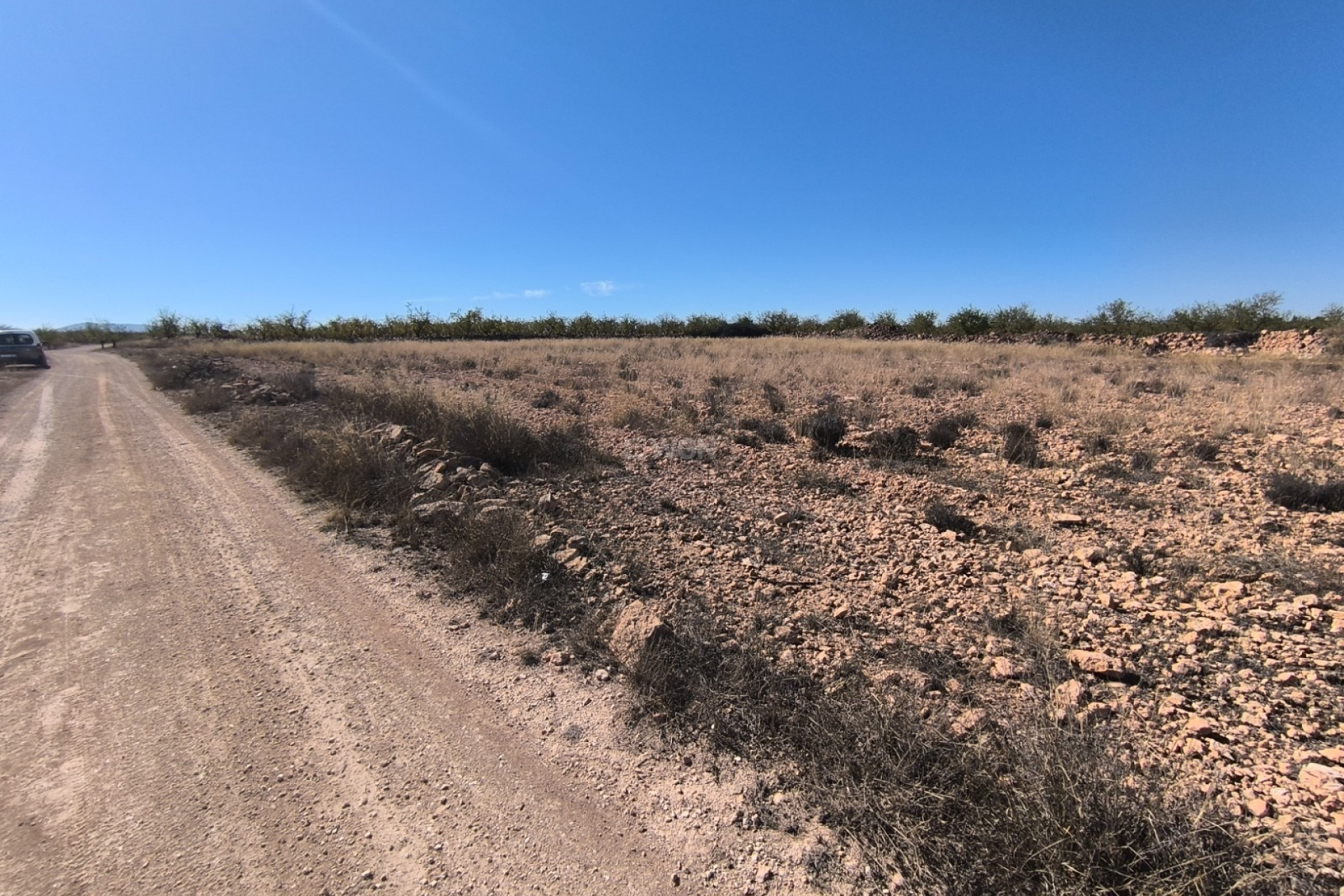 Reventa - Parcela / Terreno - Pinoso - Inland