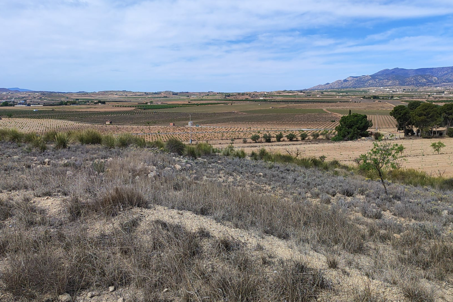 Reventa - Parcela / Terreno - Pinoso - Inland