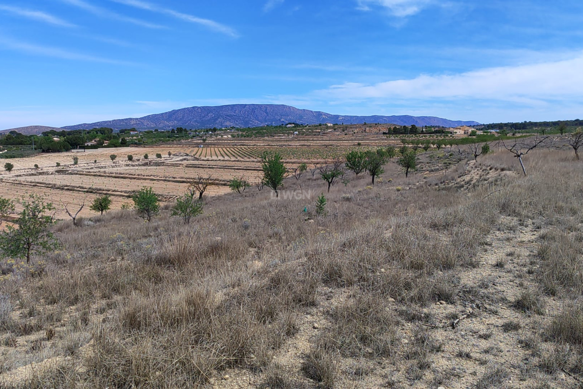 Reventa - Parcela / Terreno - Pinoso - Inland