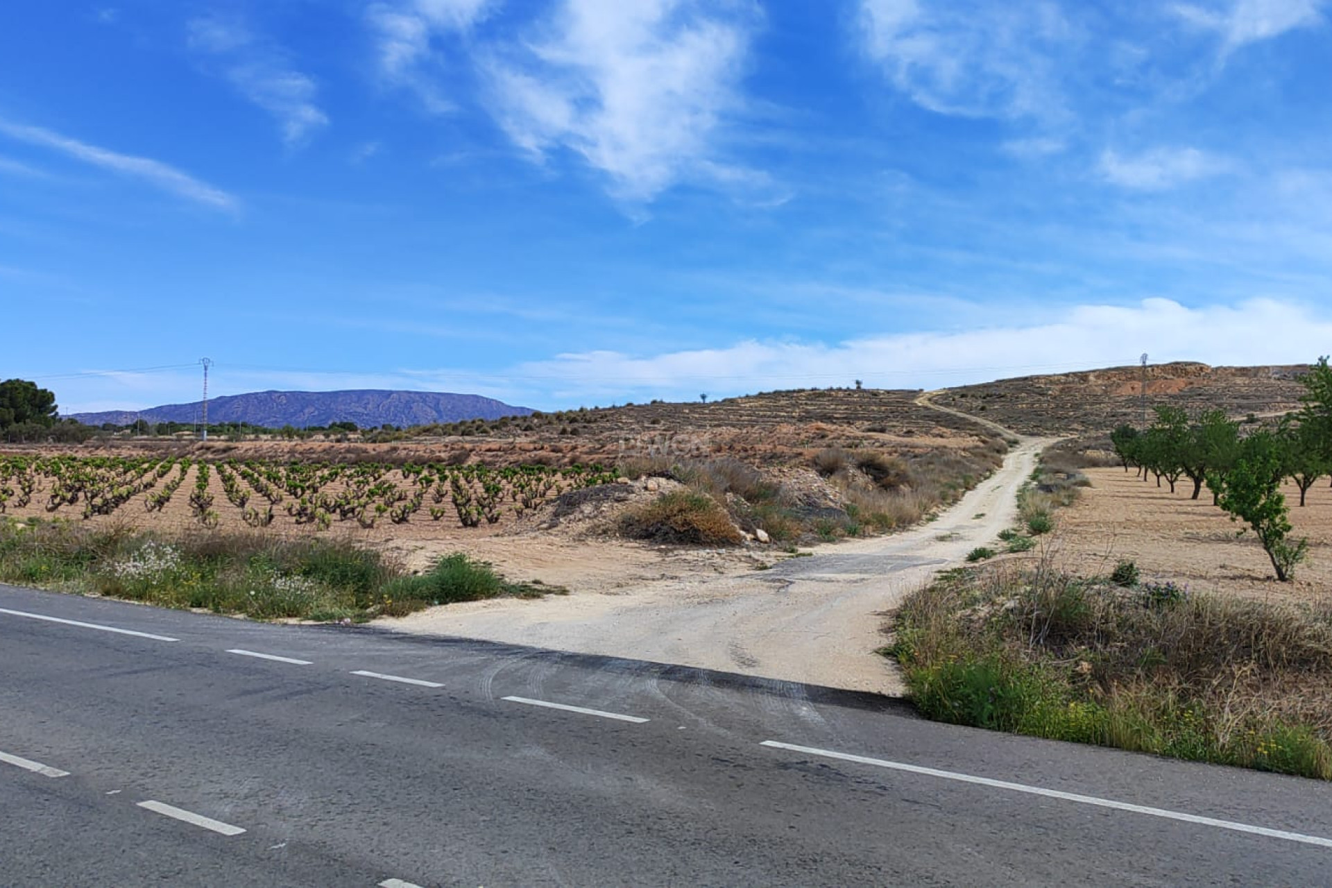 Reventa - Parcela / Terreno - Pinoso - Inland