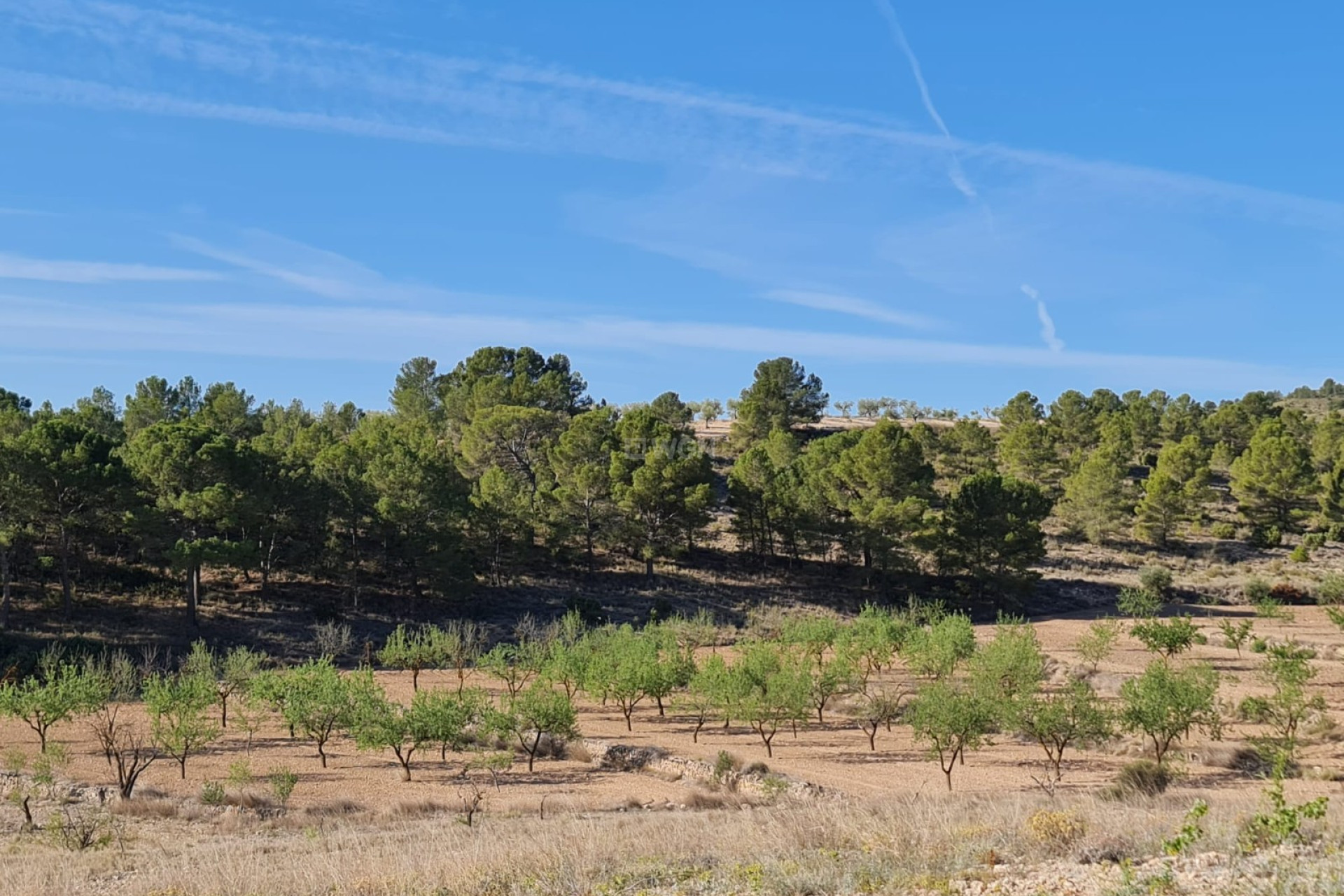 Reventa - Parcela / Terreno - Raspay - Inland