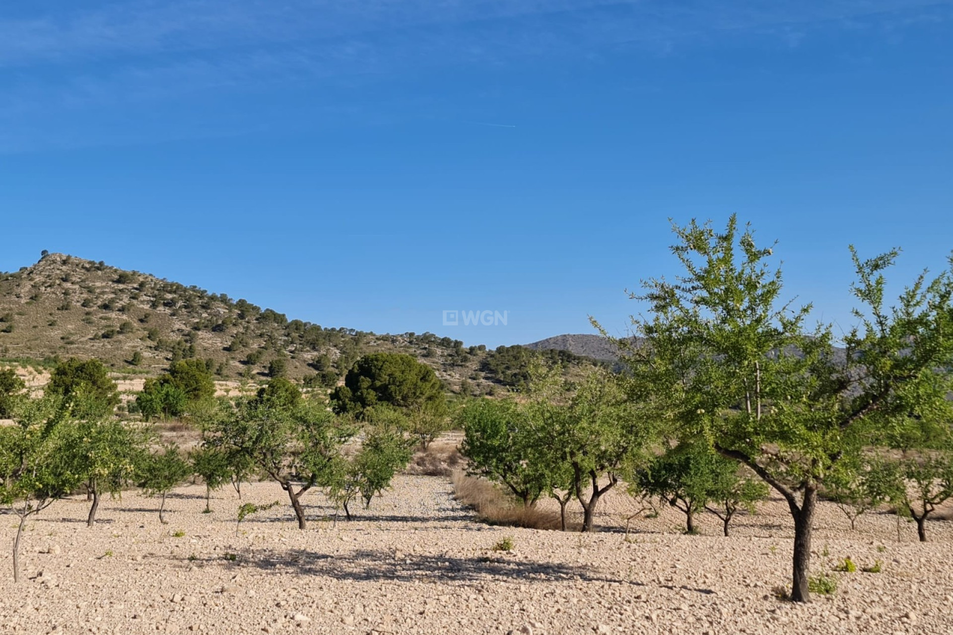 Reventa - Parcela / Terreno - Raspay - Inland