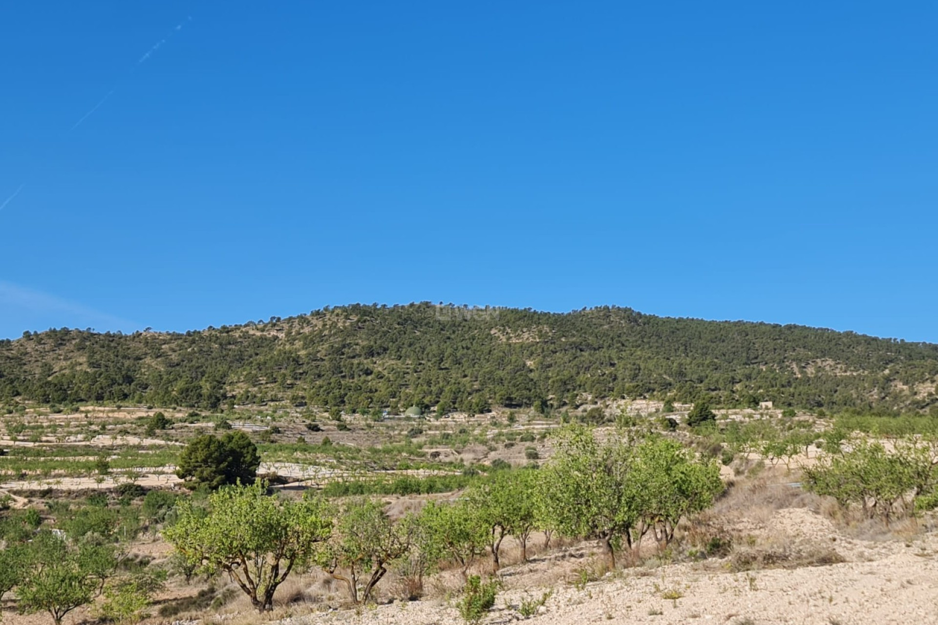 Reventa - Parcela / Terreno - Raspay - Inland