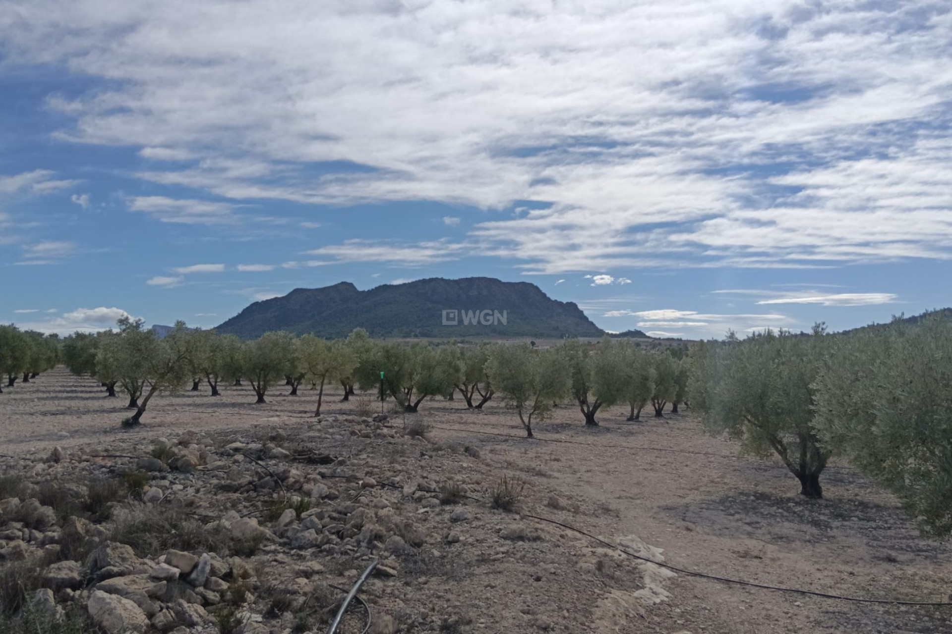 Reventa - Parcela / Terreno - Salinas - Inland