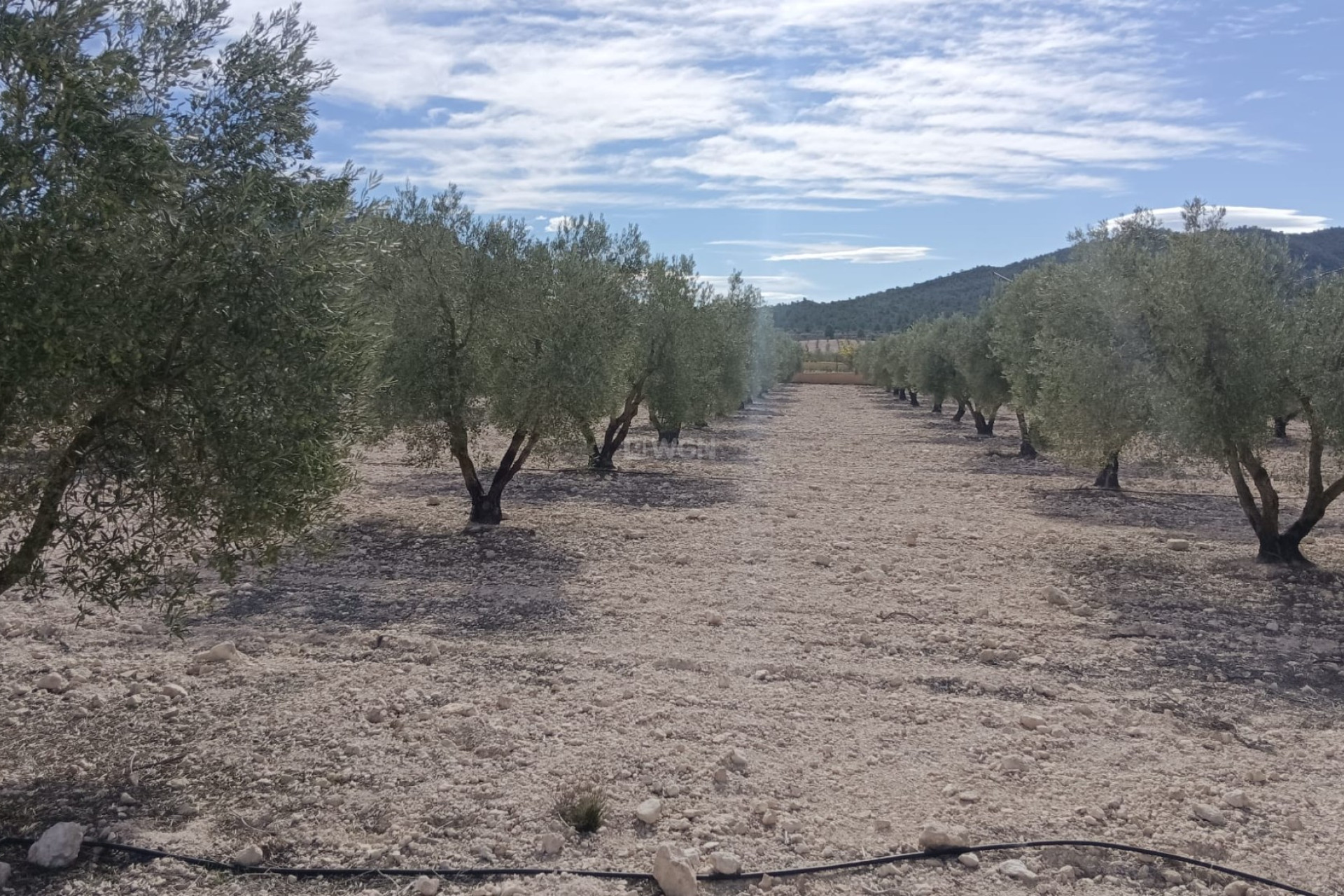 Reventa - Parcela / Terreno - Salinas - Inland