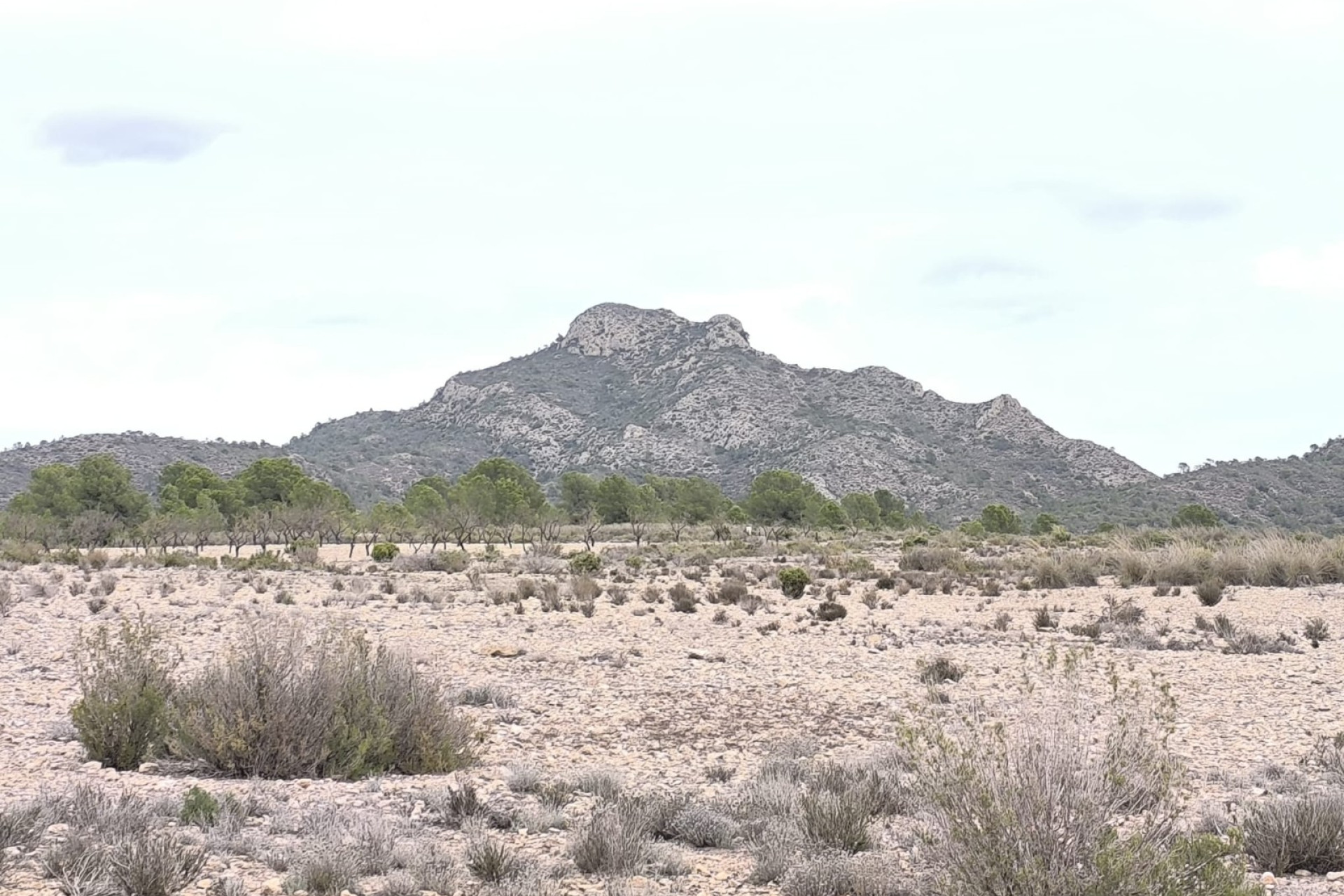 Reventa - Parcela / Terreno - Salinas - Inland