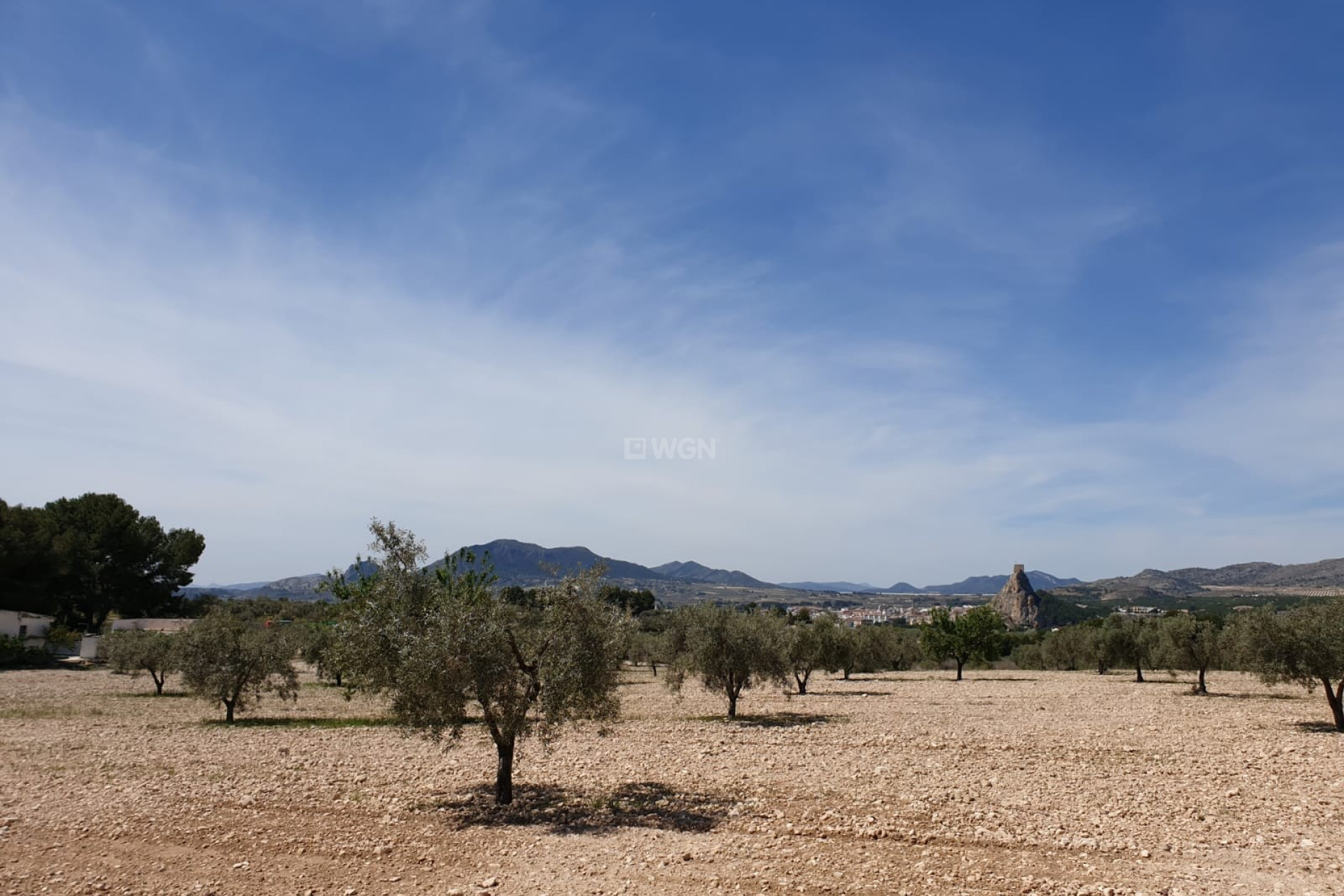 Reventa - Parcela / Terreno - Sax - Inland