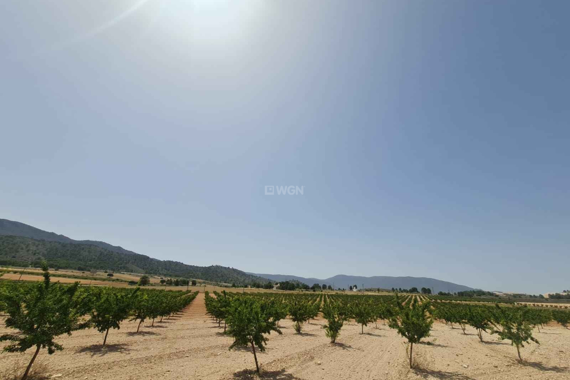 Reventa - Parcela / Terreno - Yecla - Inland