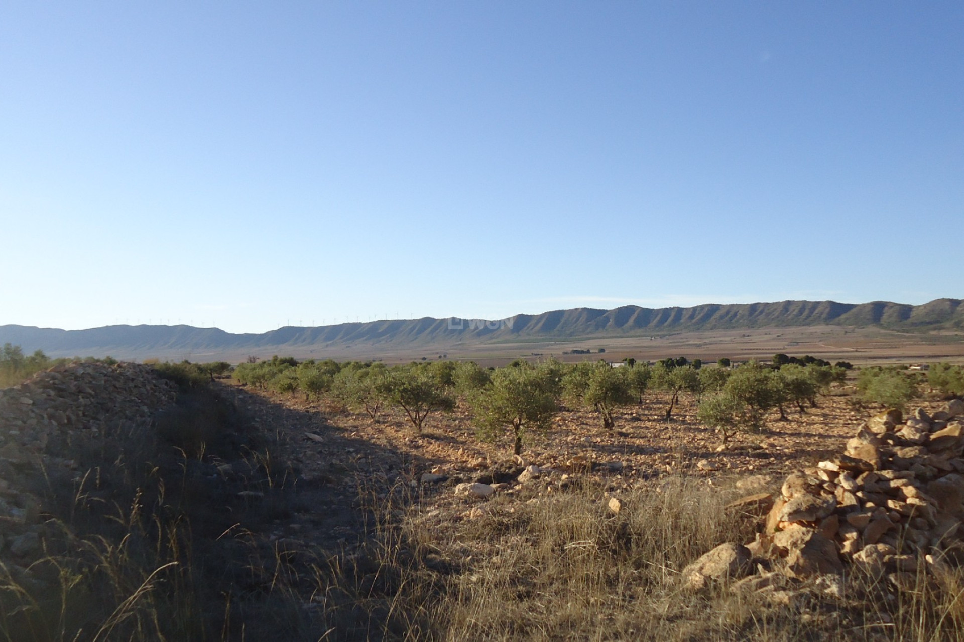 Reventa - Parcela / Terreno - Yecla - Inland