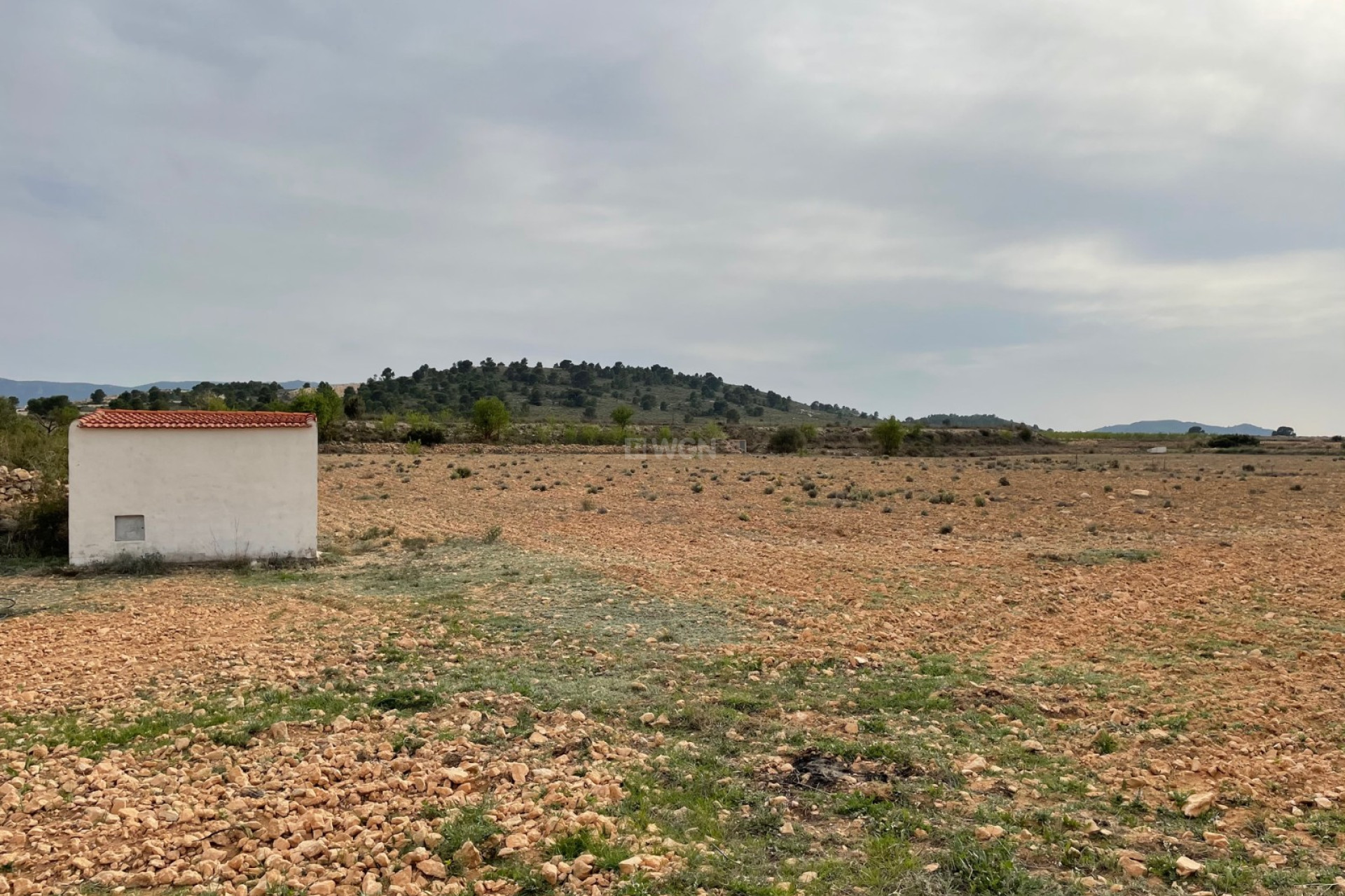 Reventa - Parcela / Terreno - Yecla - Inland