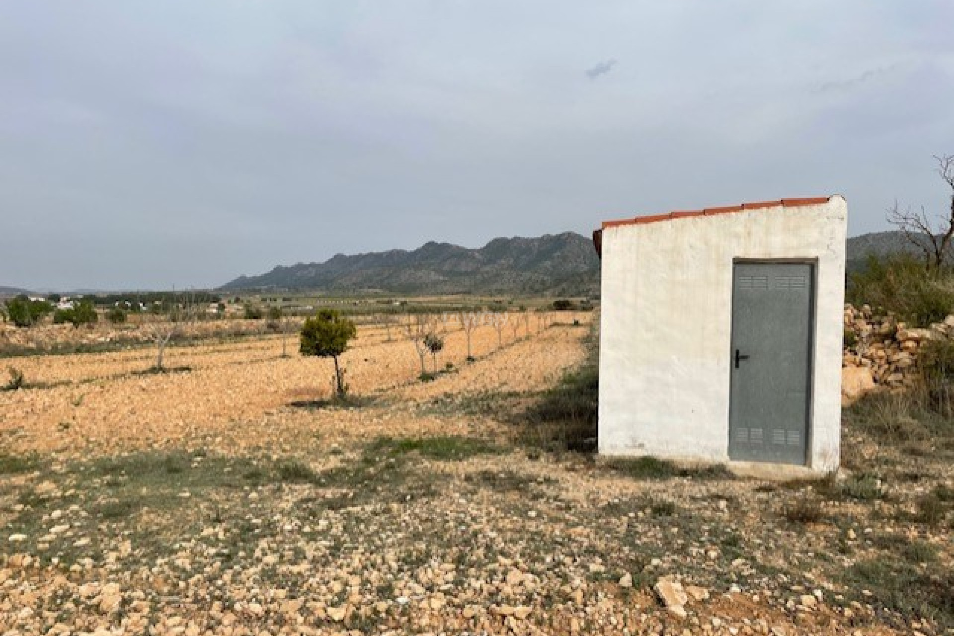 Reventa - Parcela / Terreno - Yecla - Inland