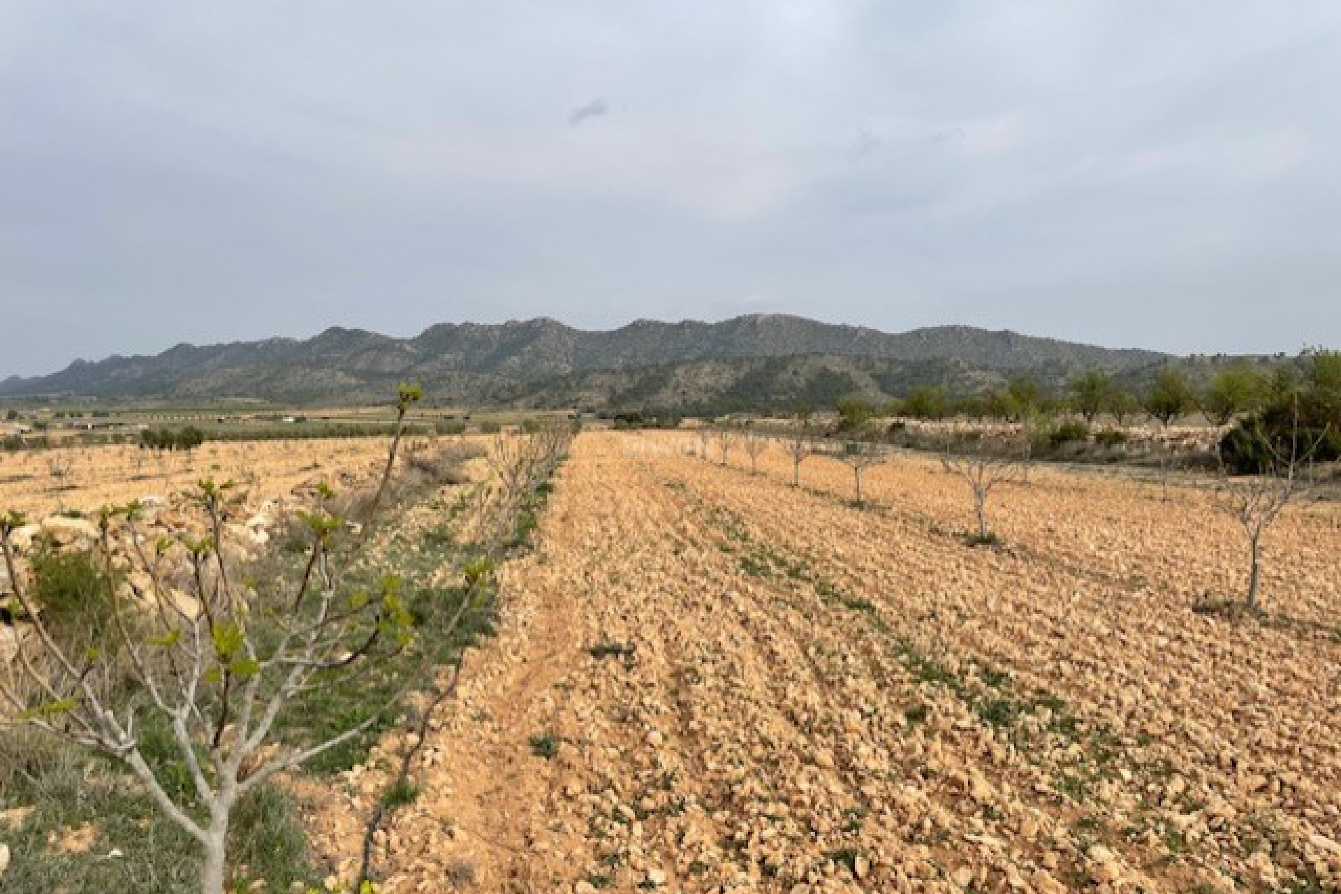 Reventa - Parcela / Terreno - Yecla - Inland