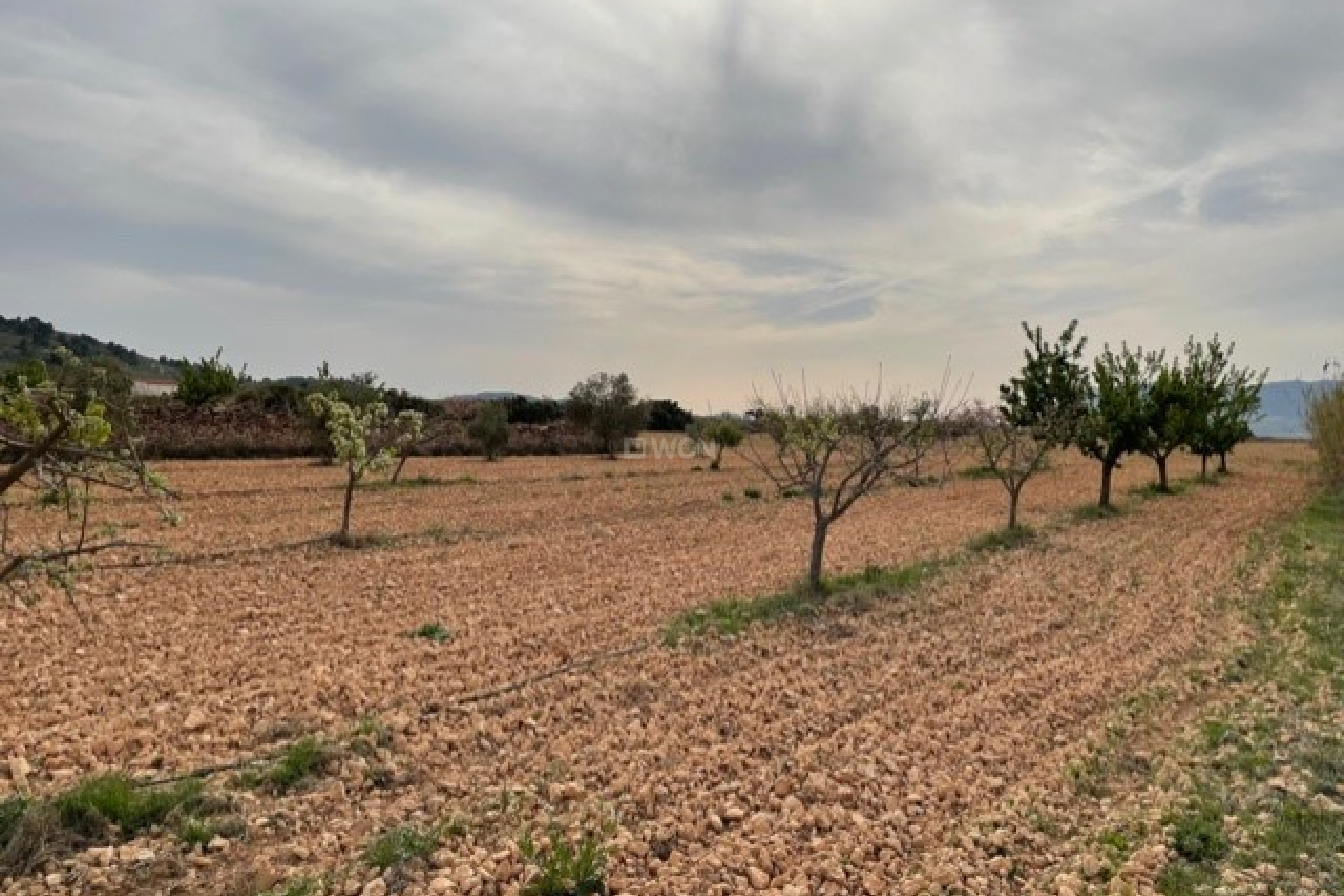 Reventa - Parcela / Terreno - Yecla - Inland