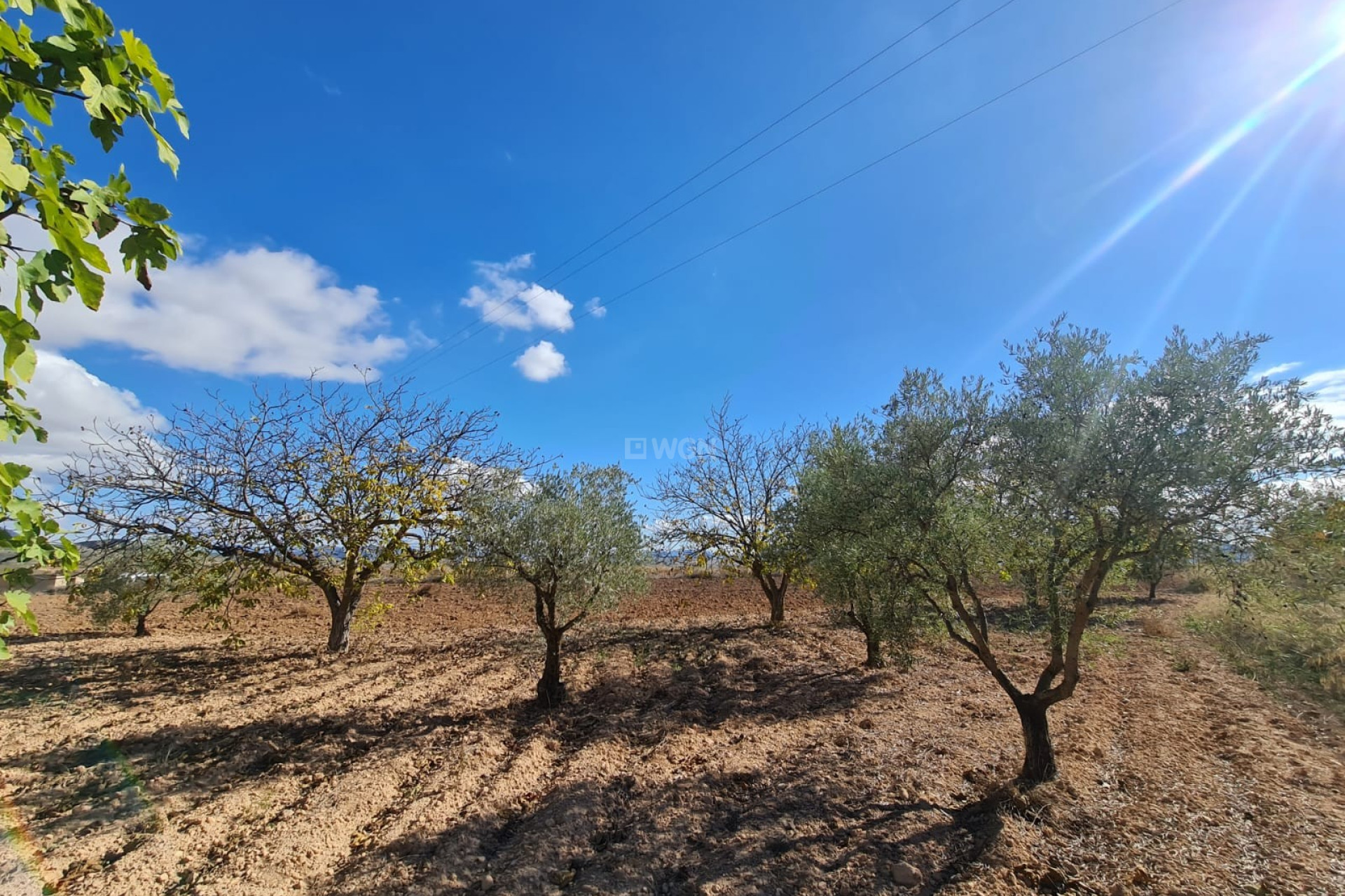 Reventa - Parcela / Terreno - Yecla - Inland