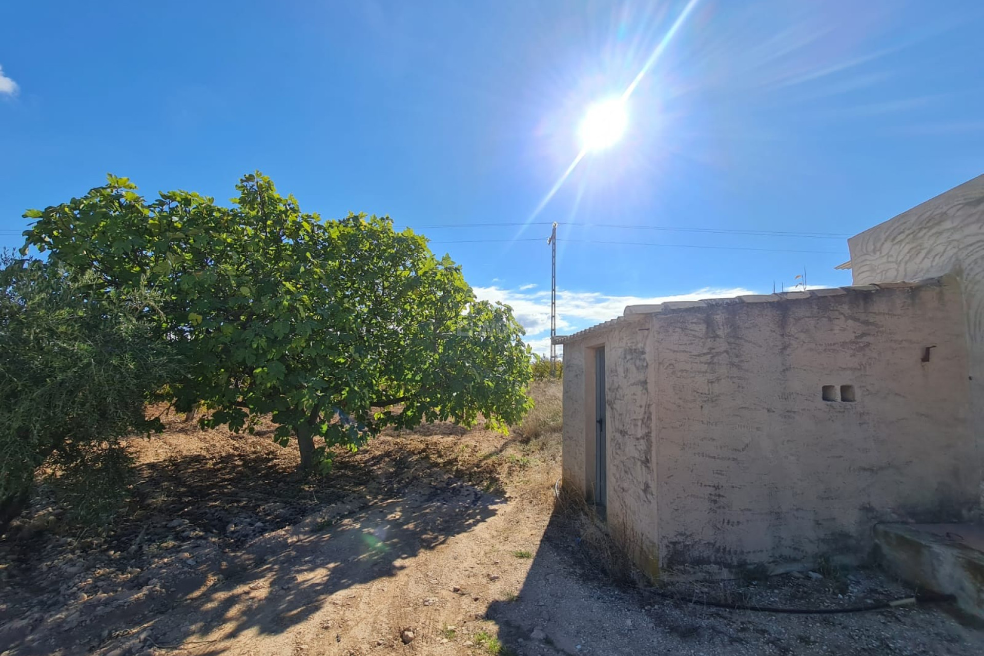 Reventa - Parcela / Terreno - Yecla - Inland