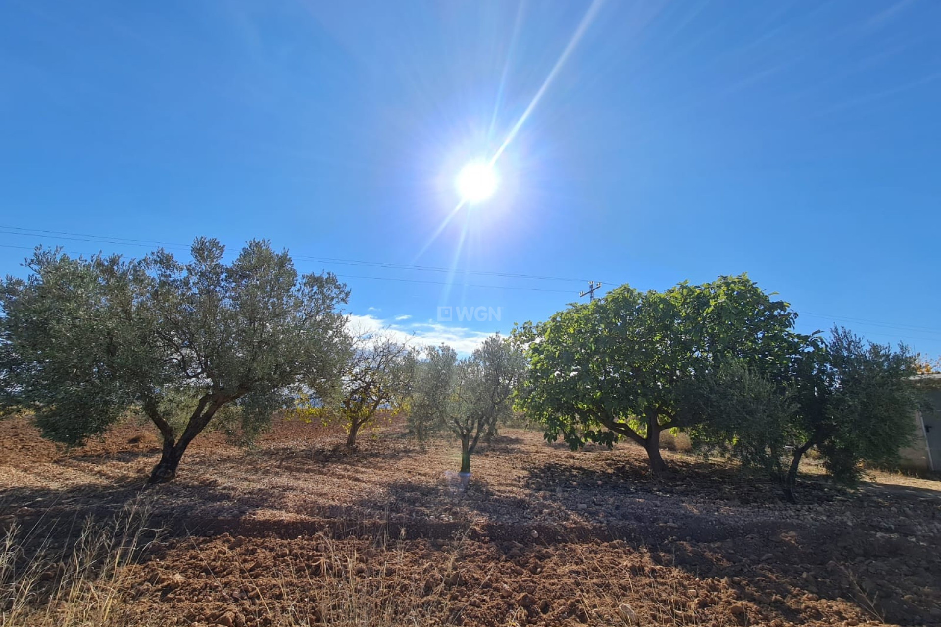 Reventa - Parcela / Terreno - Yecla - Inland