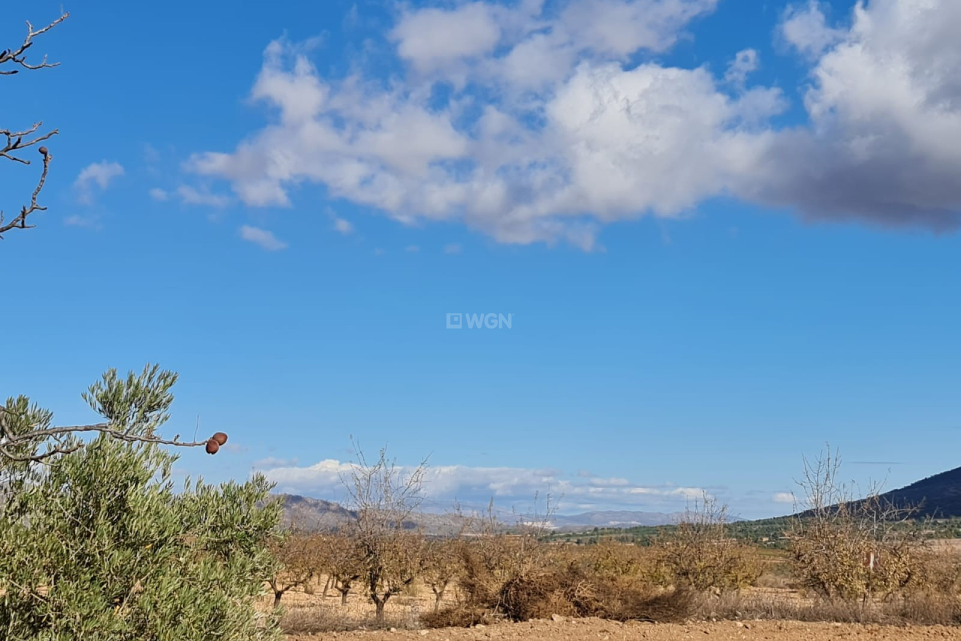 Reventa - Parcela / Terreno - Yecla - Inland