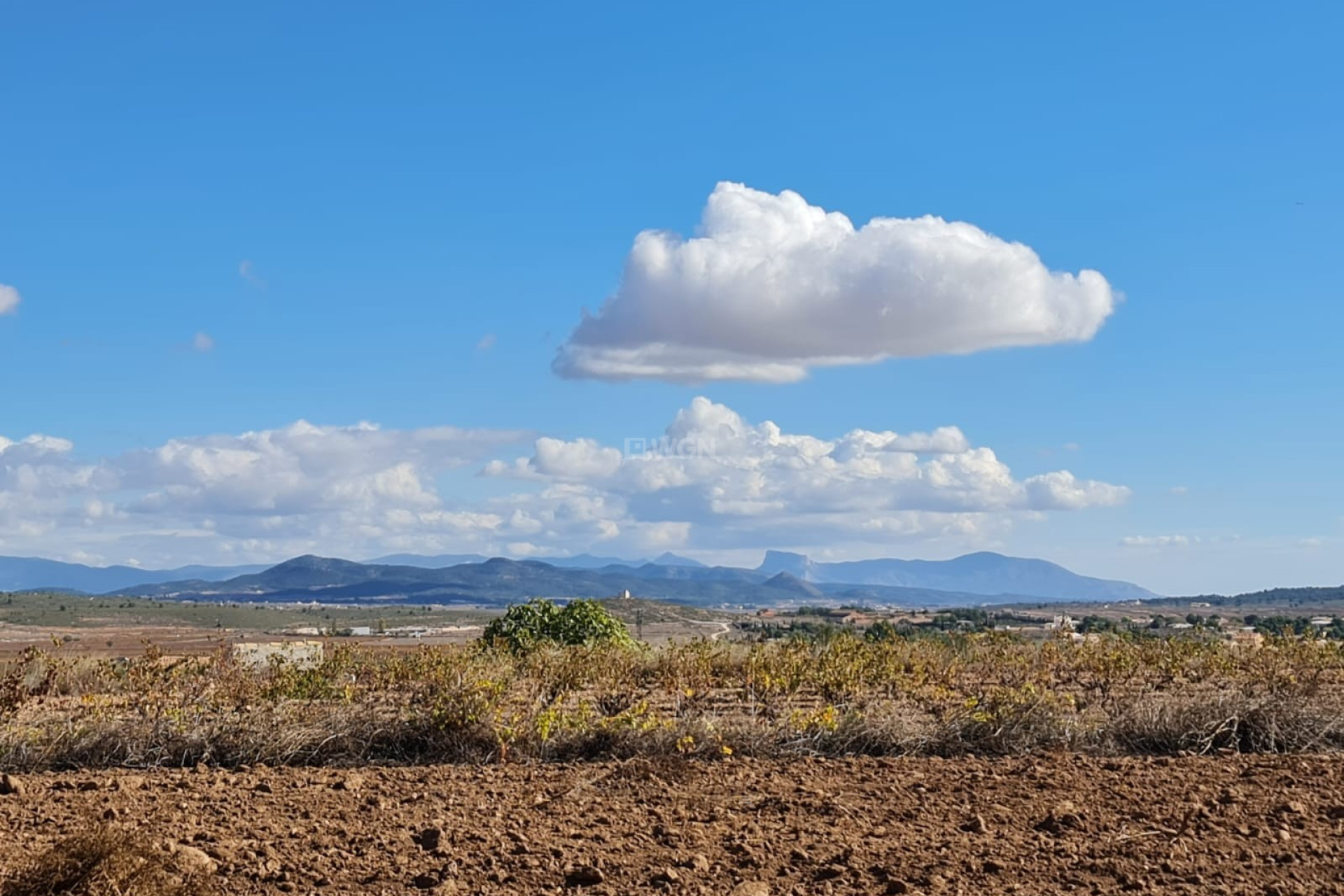 Reventa - Parcela / Terreno - Yecla - Inland