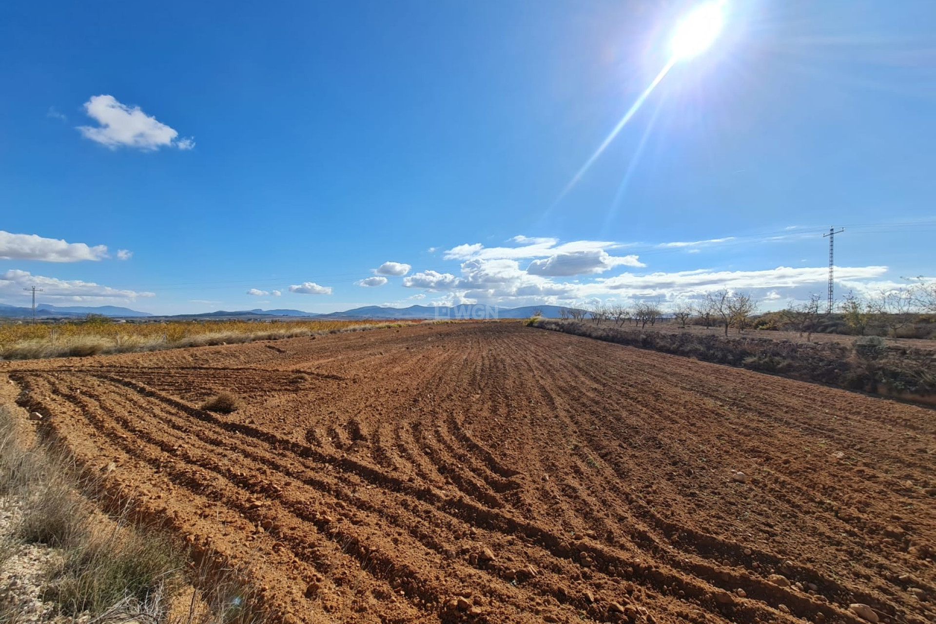 Reventa - Parcela / Terreno - Yecla - Inland