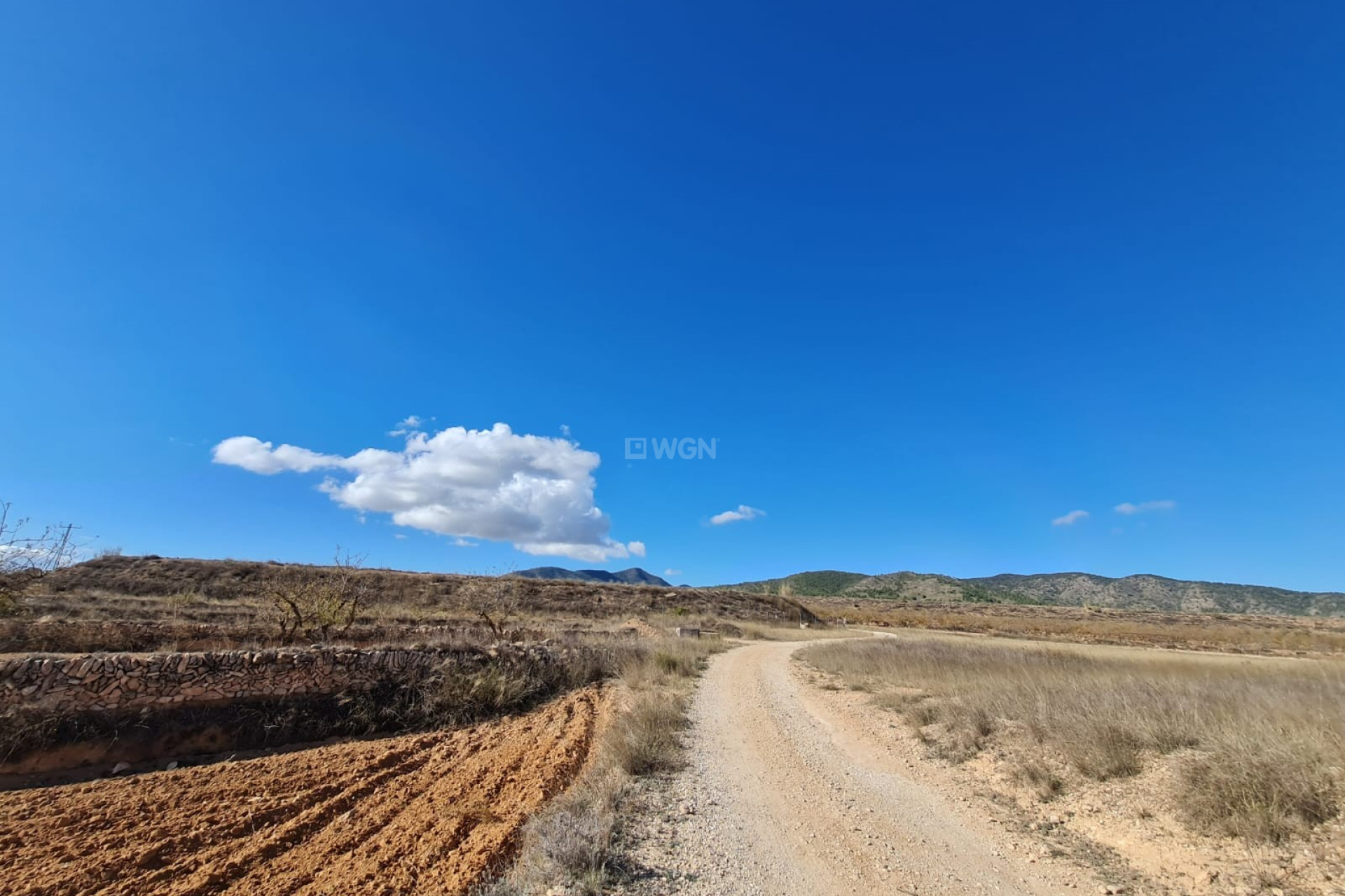 Reventa - Parcela / Terreno - Yecla - Inland