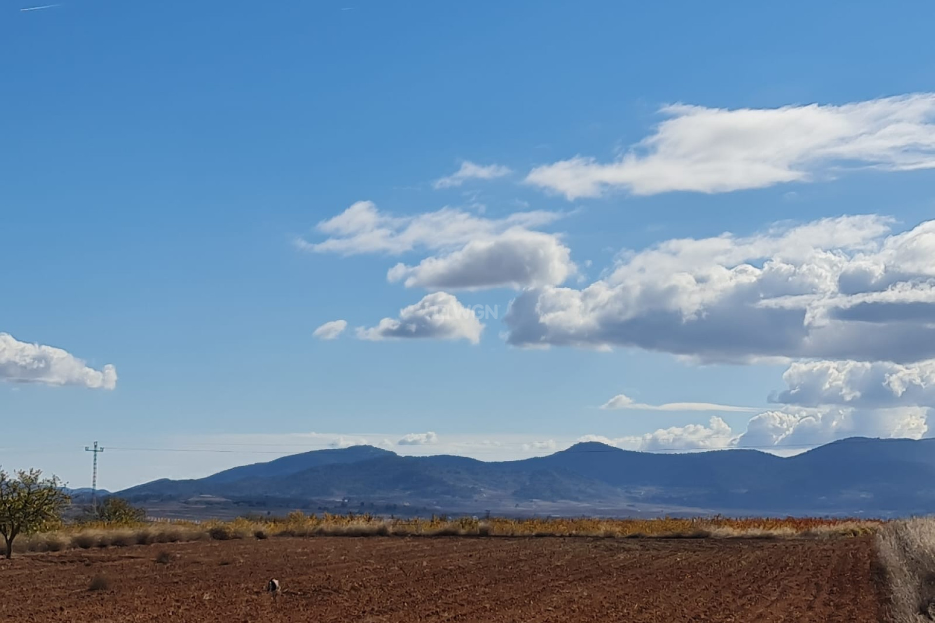 Reventa - Parcela / Terreno - Yecla - Inland