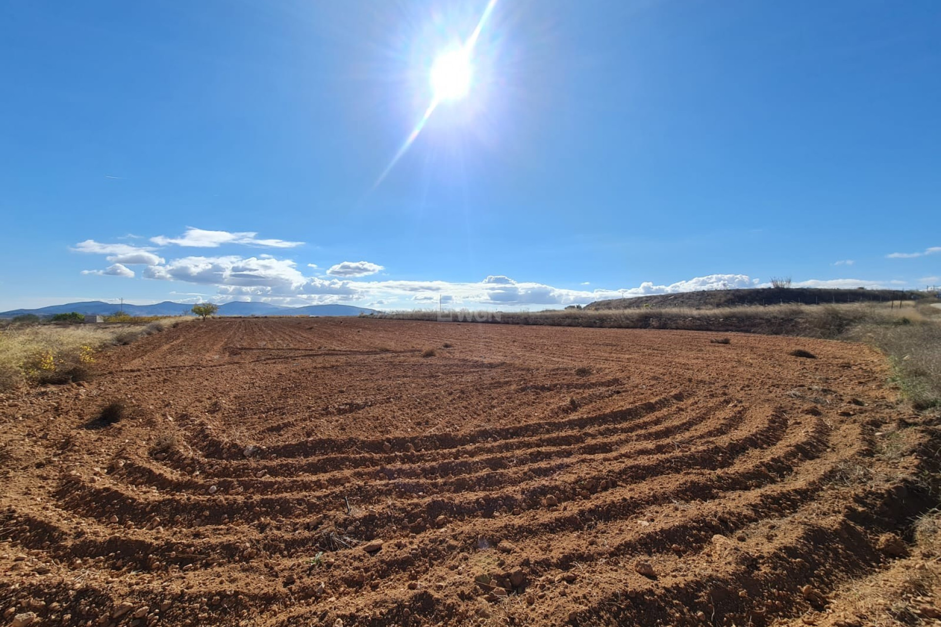 Reventa - Parcela / Terreno - Yecla - Inland