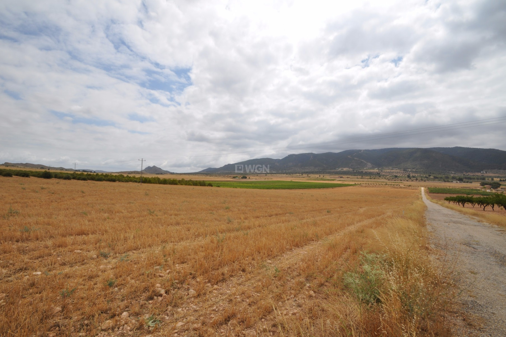 Reventa - Parcela / Terreno - Yecla - Inland