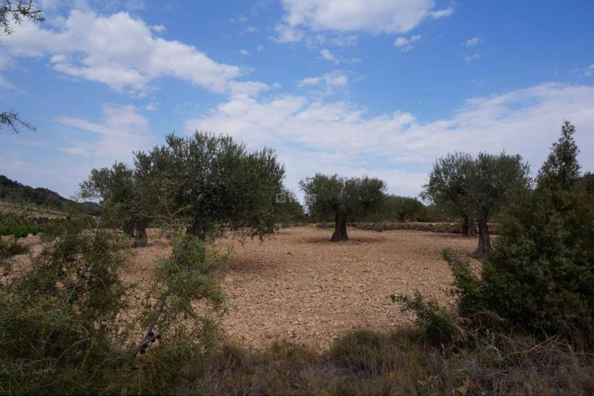 Reventa - Parcela / Terreno - Yecla - Inland