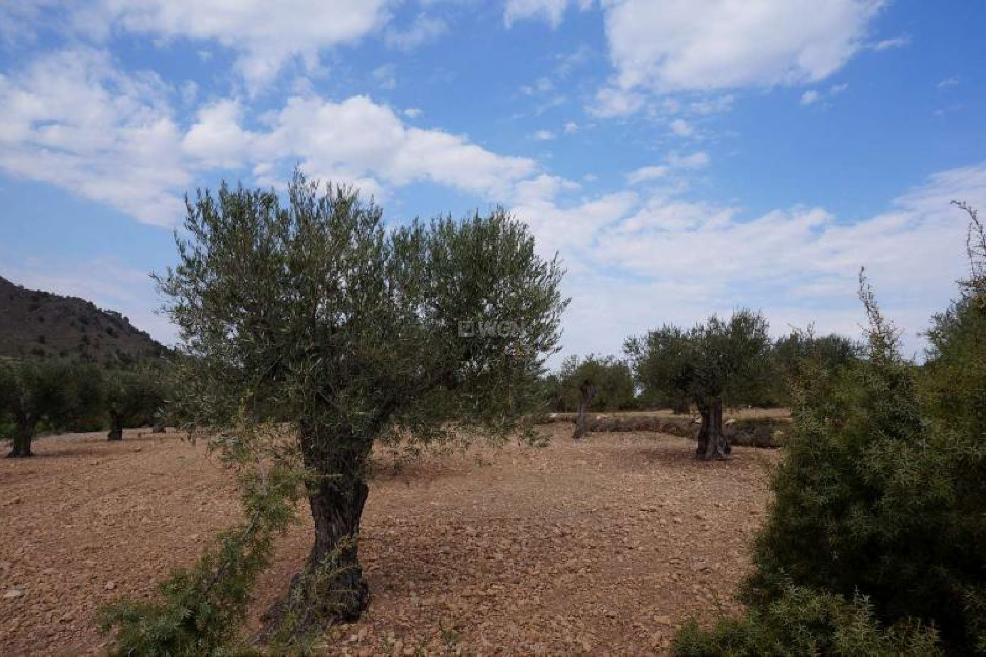 Reventa - Parcela / Terreno - Yecla - Inland