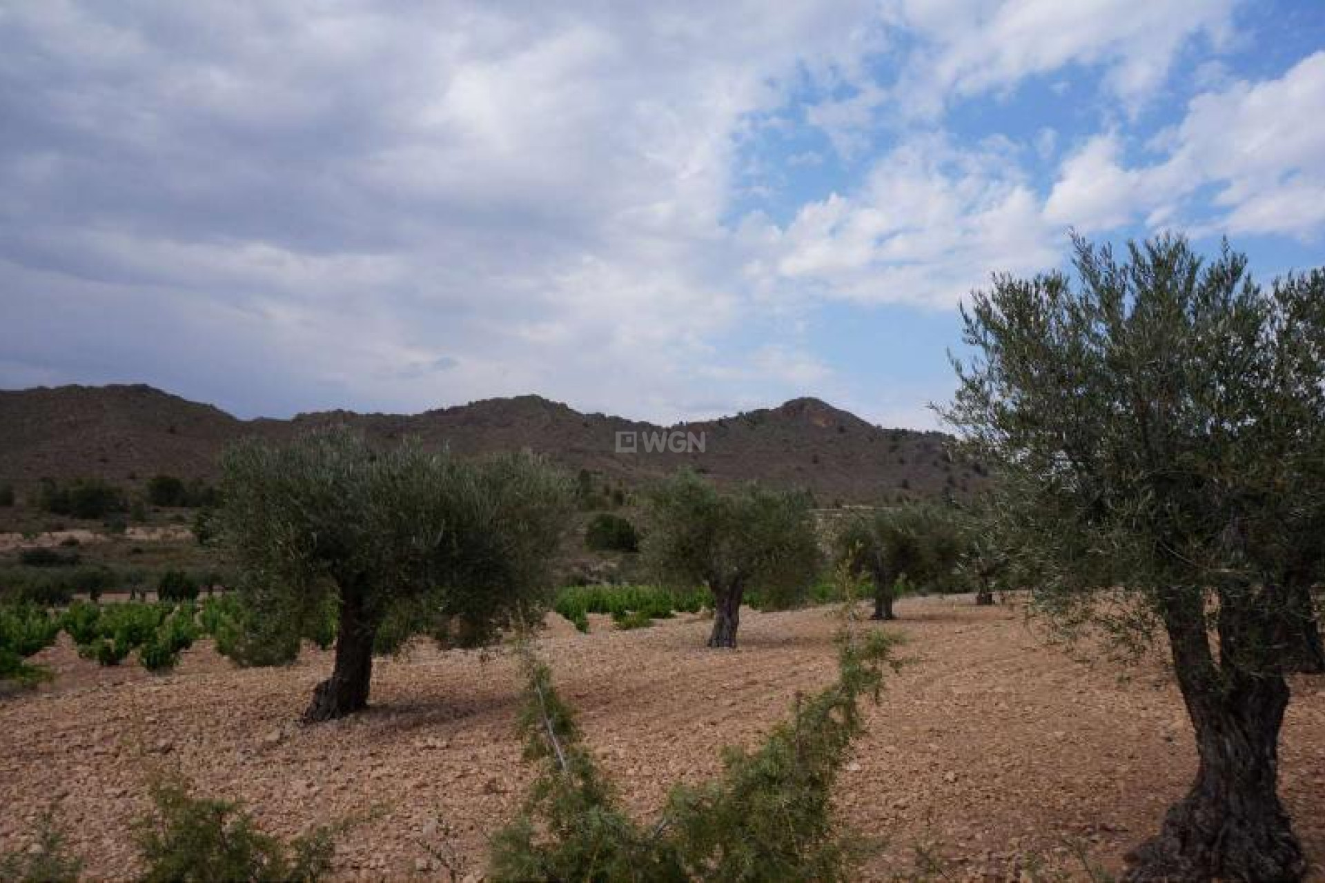 Reventa - Parcela / Terreno - Yecla - Inland