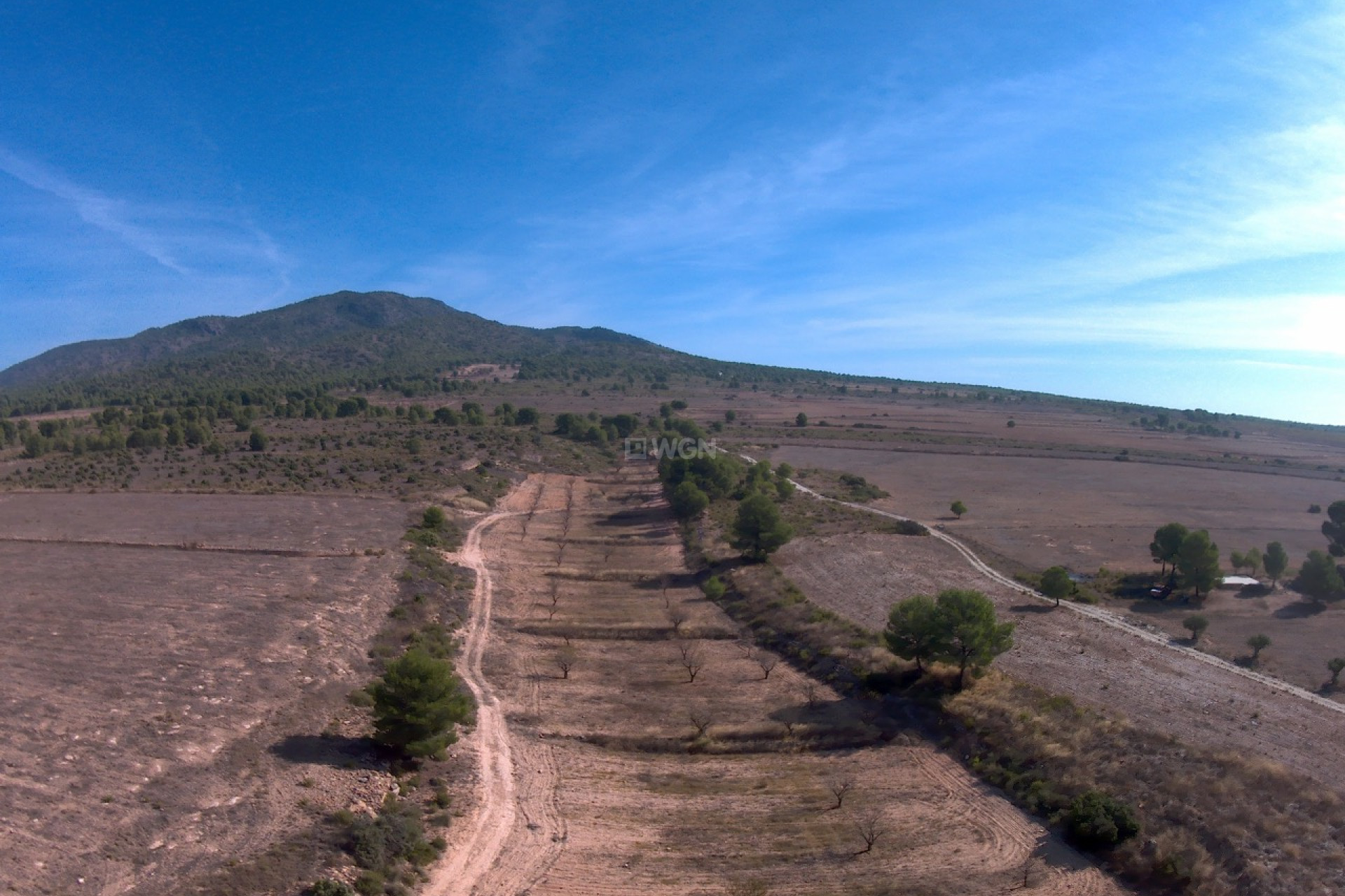 Reventa - Parcela / Terreno - Yecla - Inland