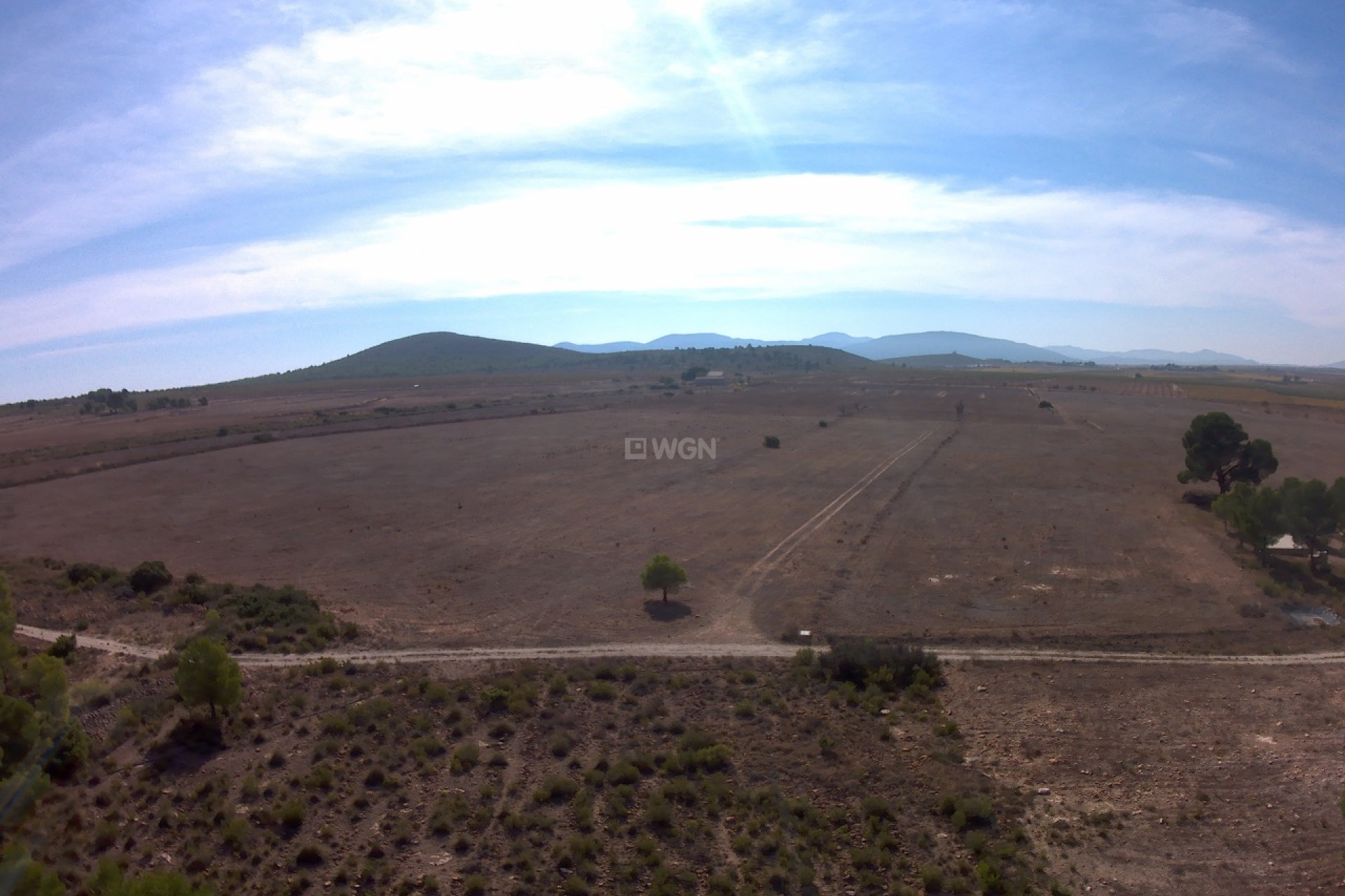 Reventa - Parcela / Terreno - Yecla - Inland