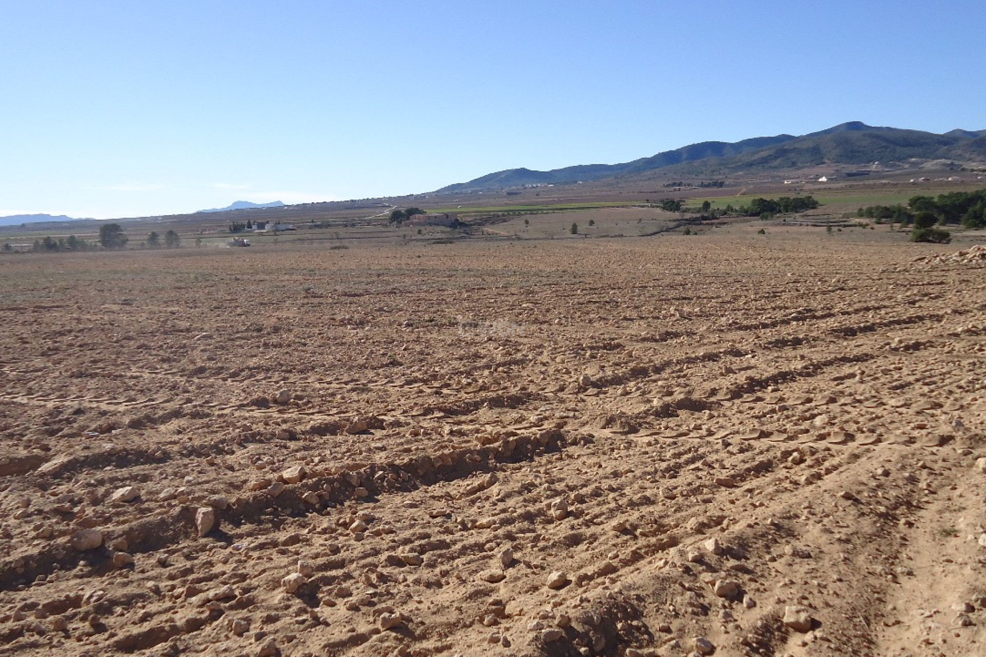 Reventa - Parcela / Terreno - Yecla - Inland