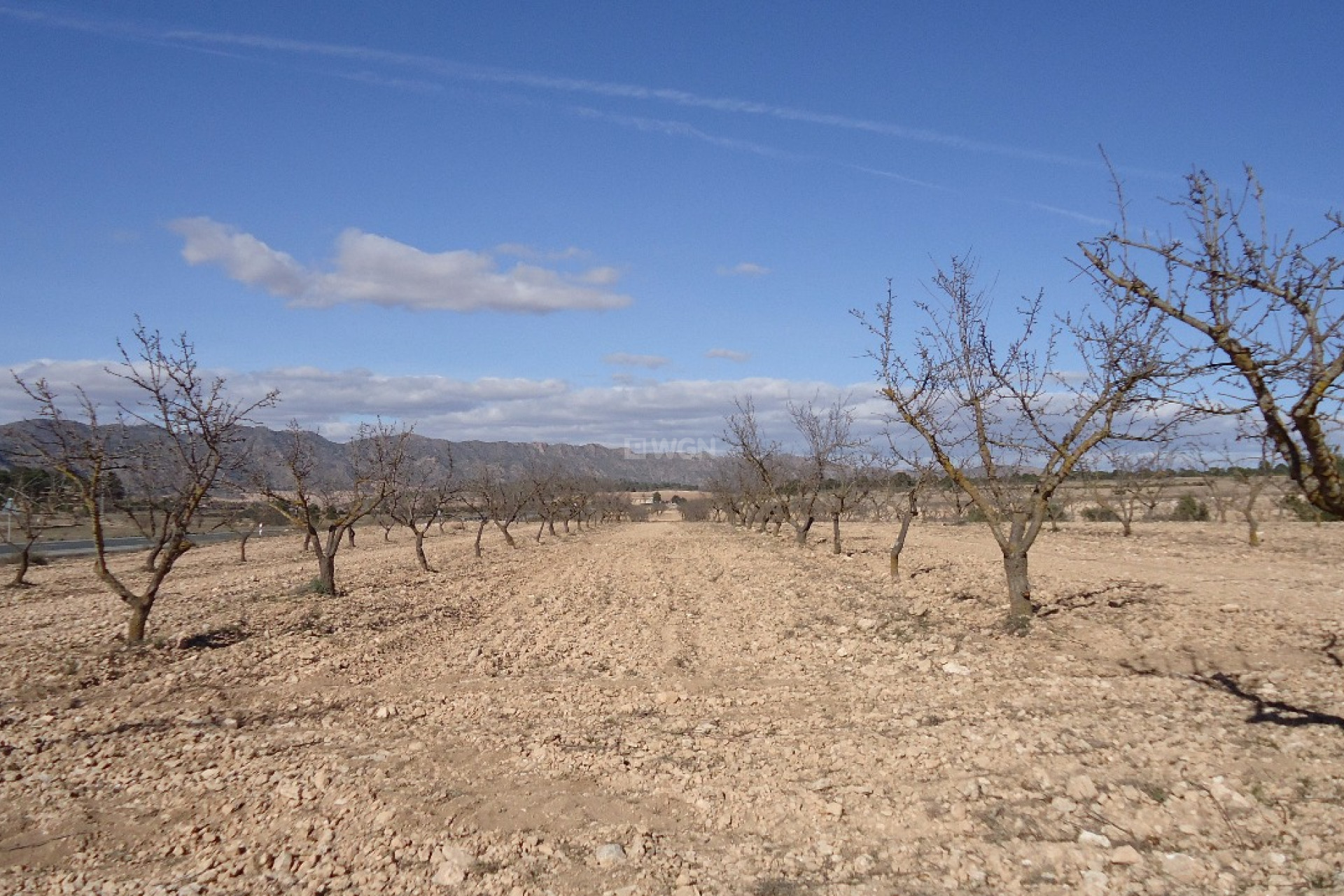 Reventa - Parcela / Terreno - Yecla - Inland