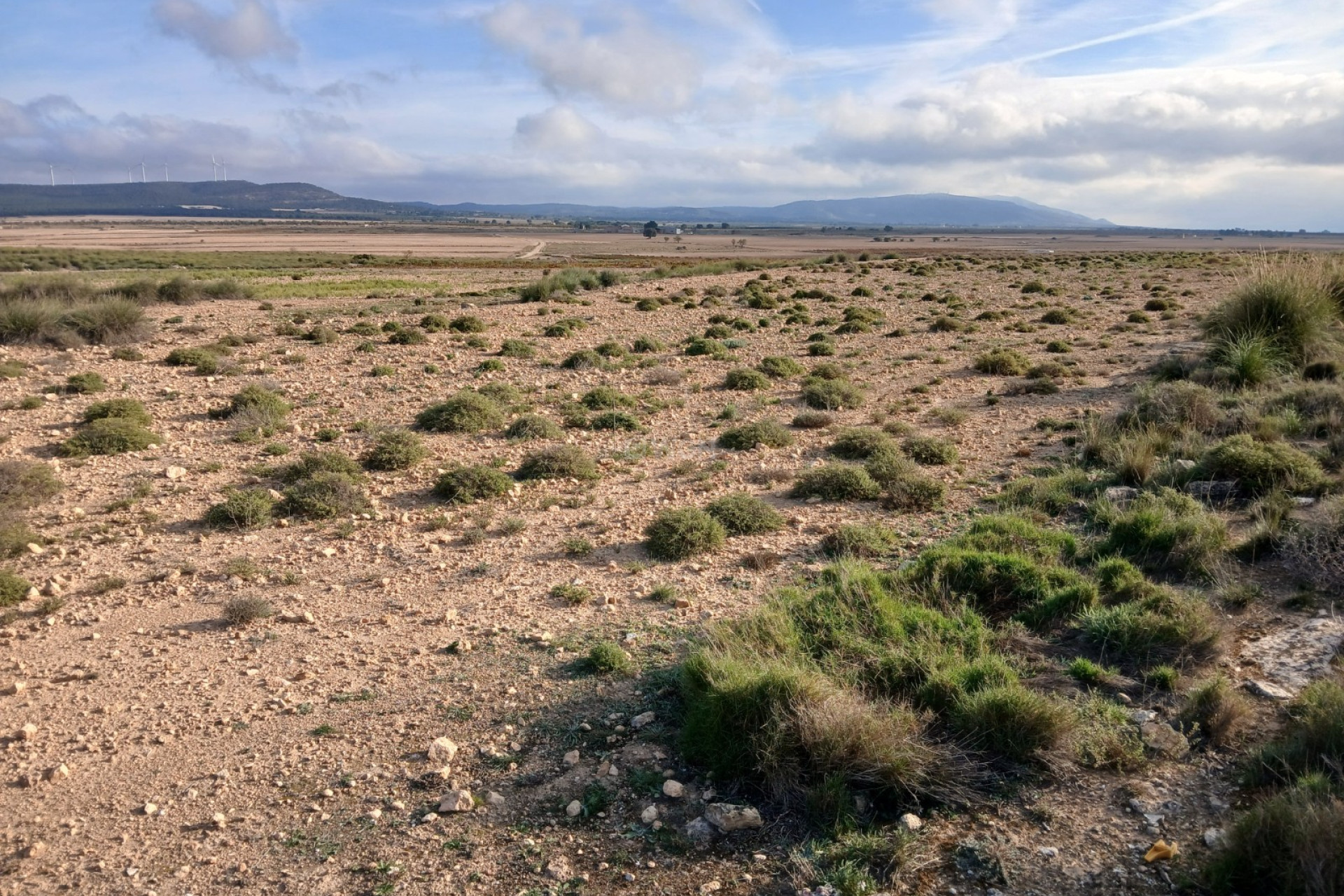 Reventa - Parcela / Terreno - Yecla - Inland