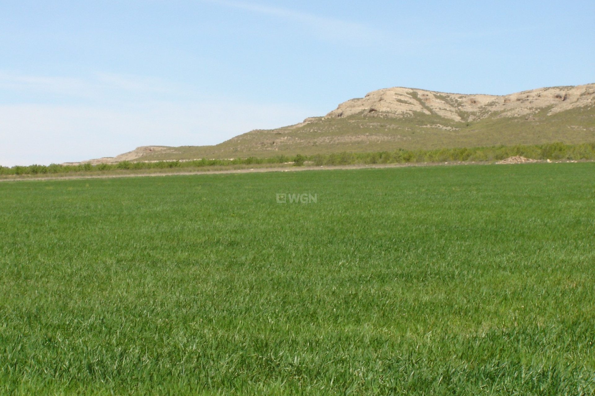 Reventa - Parcela / Terreno - Yecla - Inland