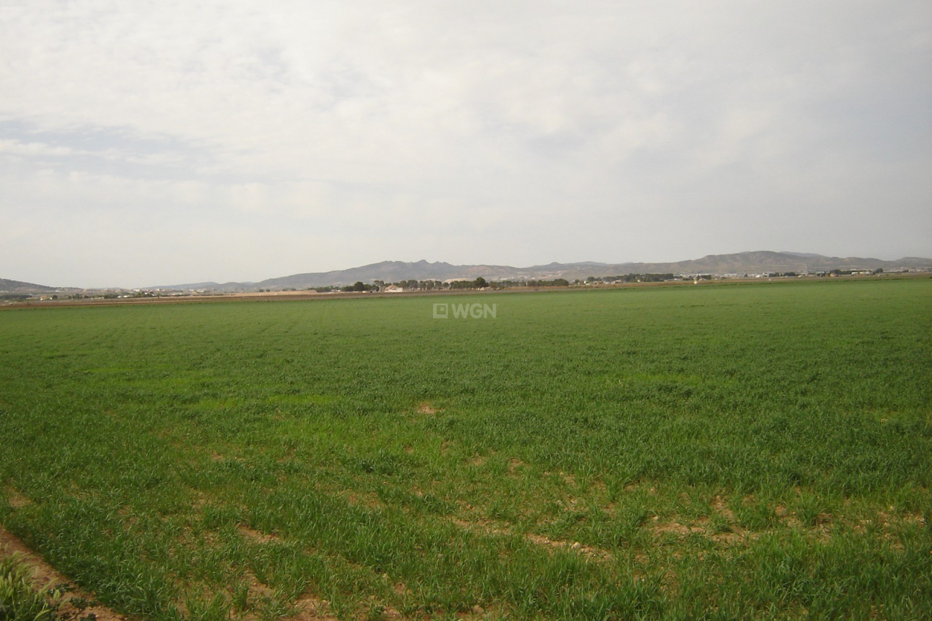 Reventa - Parcela / Terreno - Yecla - Inland