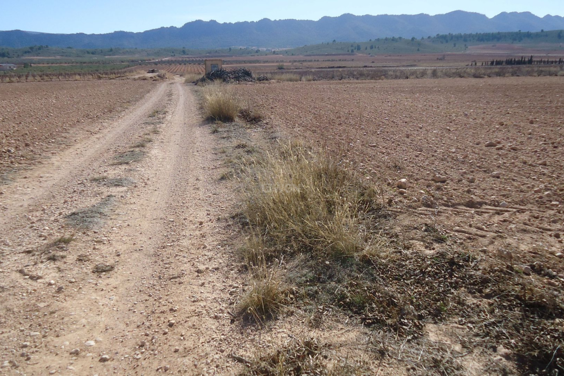 Reventa - Parcela / Terreno - Yecla - Inland