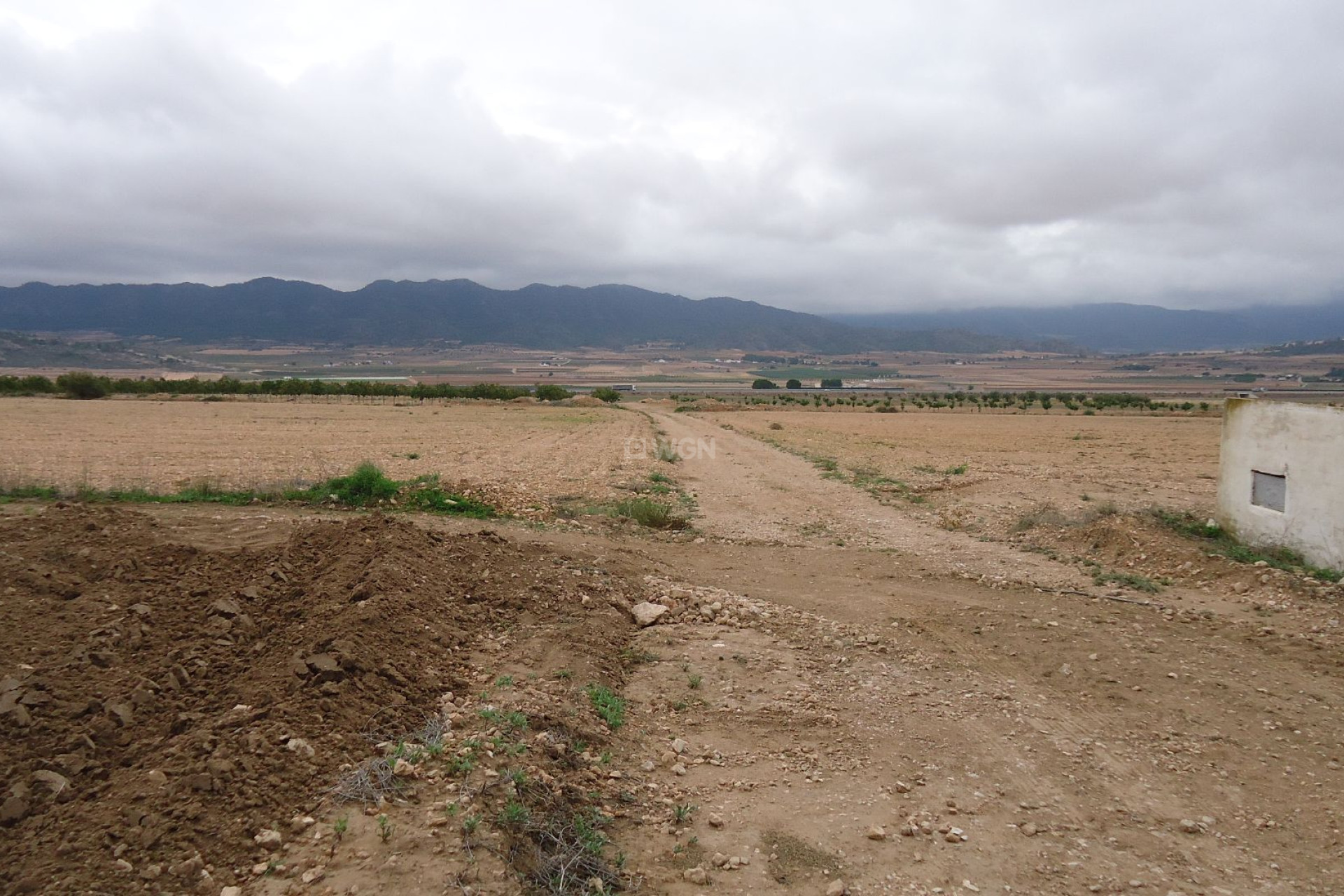 Reventa - Parcela / Terreno - Yecla - Inland