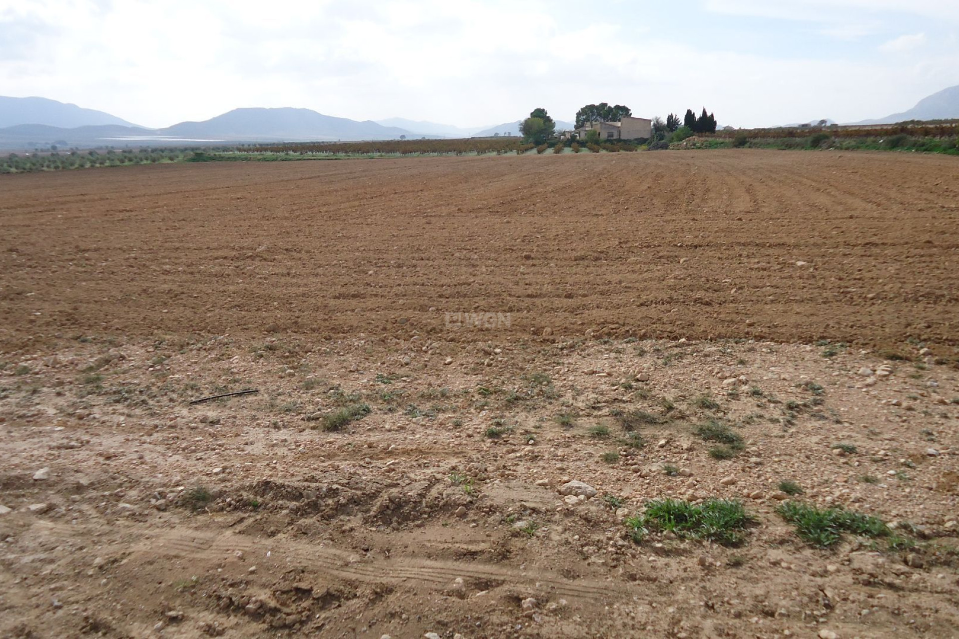 Reventa - Parcela / Terreno - Yecla - Inland