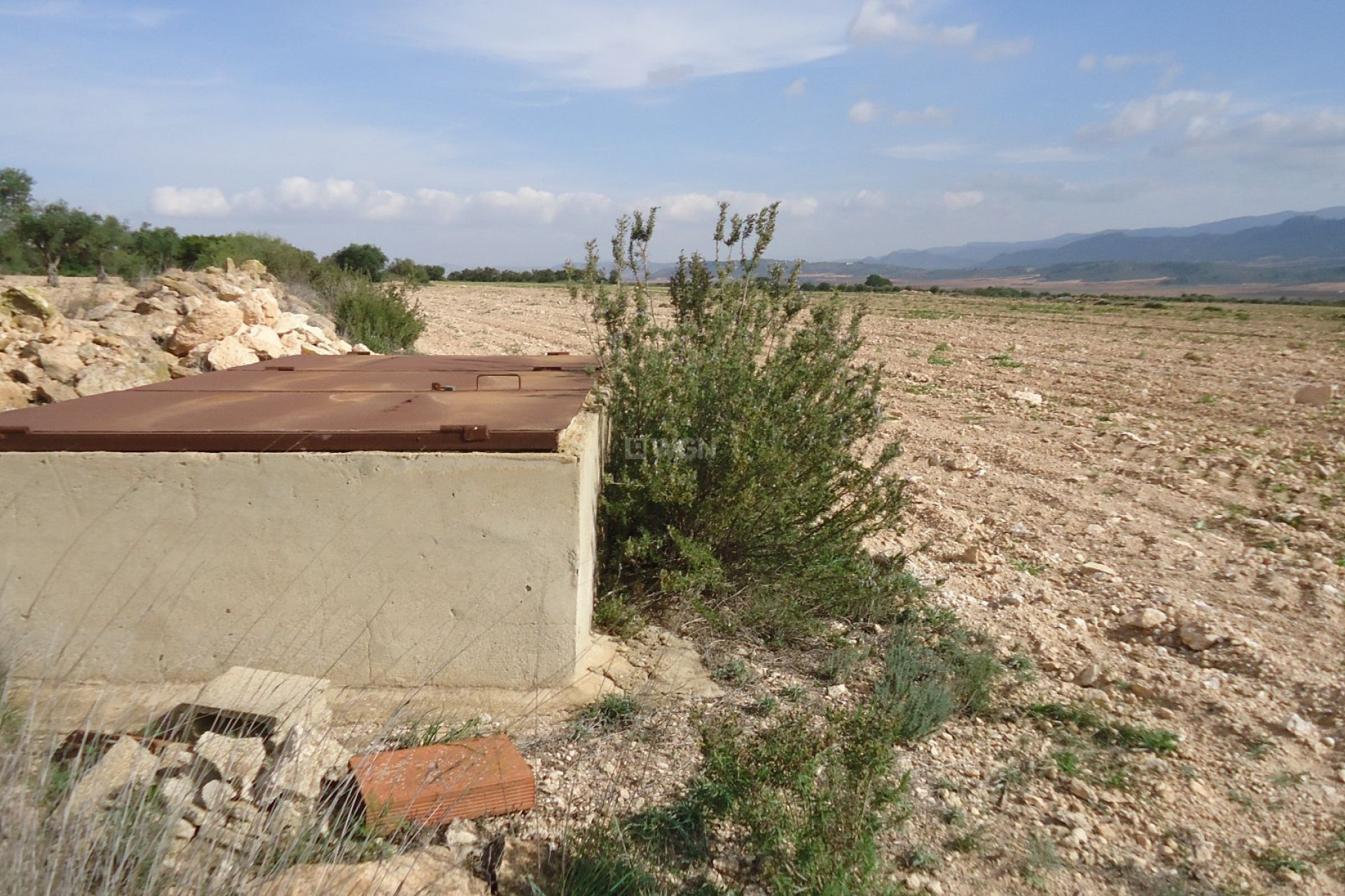 Reventa - Parcela / Terreno - Yecla - Inland