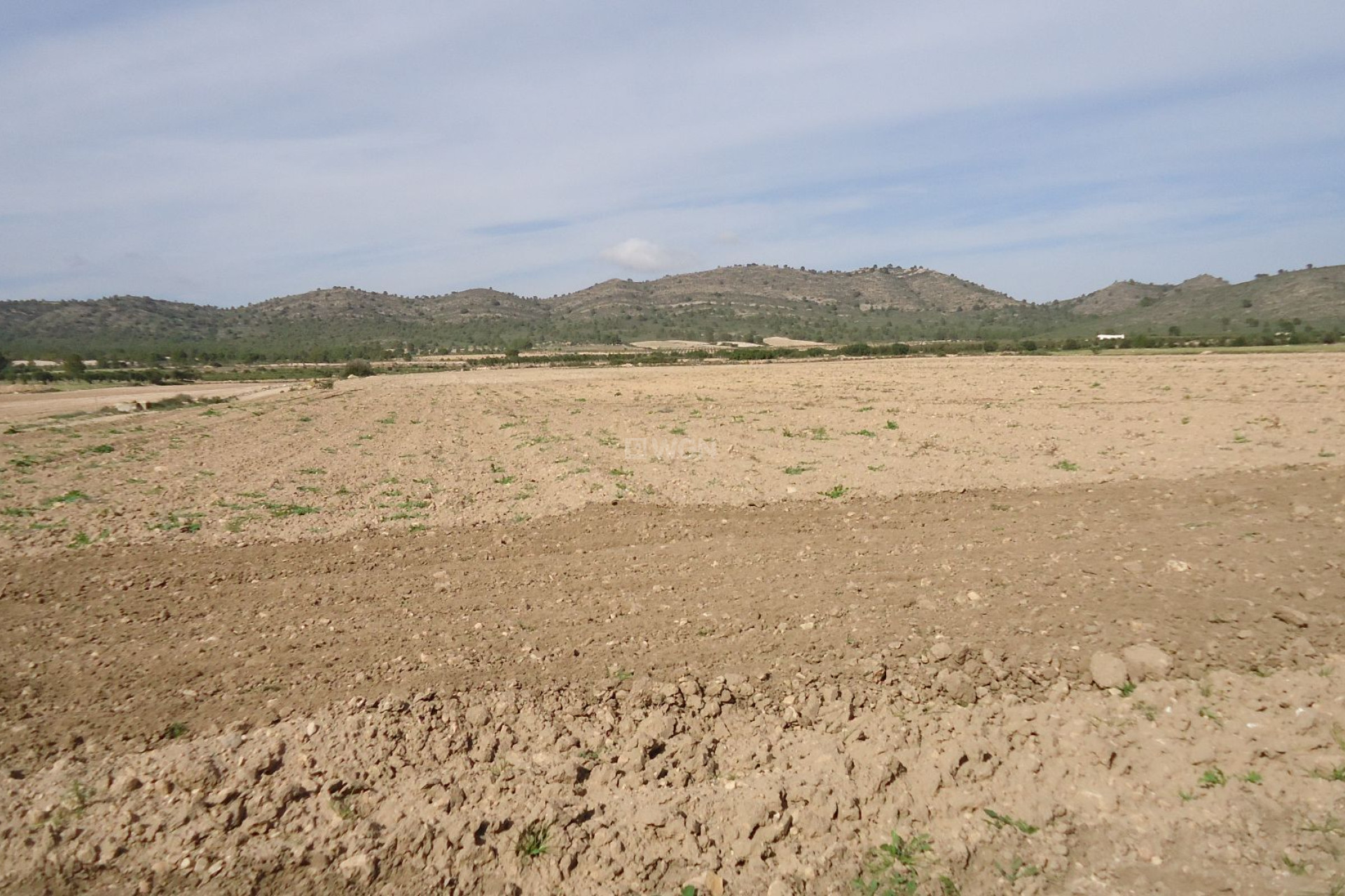 Reventa - Parcela / Terreno - Yecla - Inland